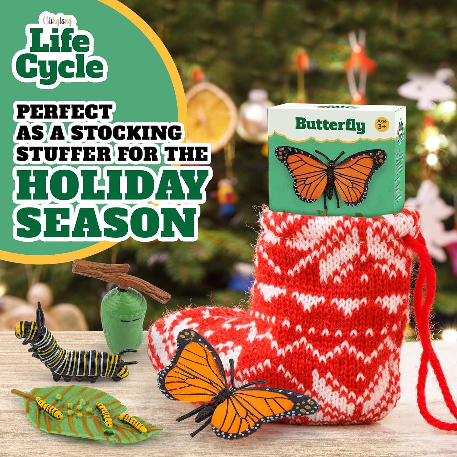 Kit Ciclo de Vida Montessori GLINGLONG - Juguete Educativo