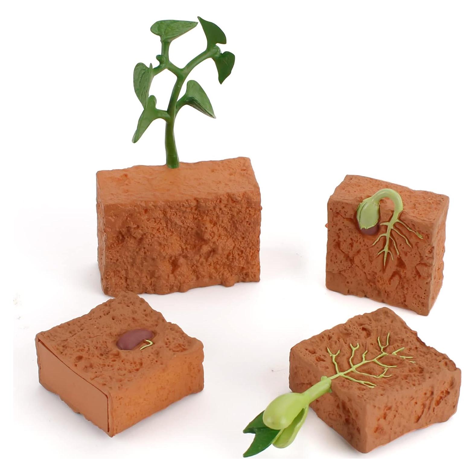 Juego de figuras ciclo vida plantas 4 PCS Fantarea