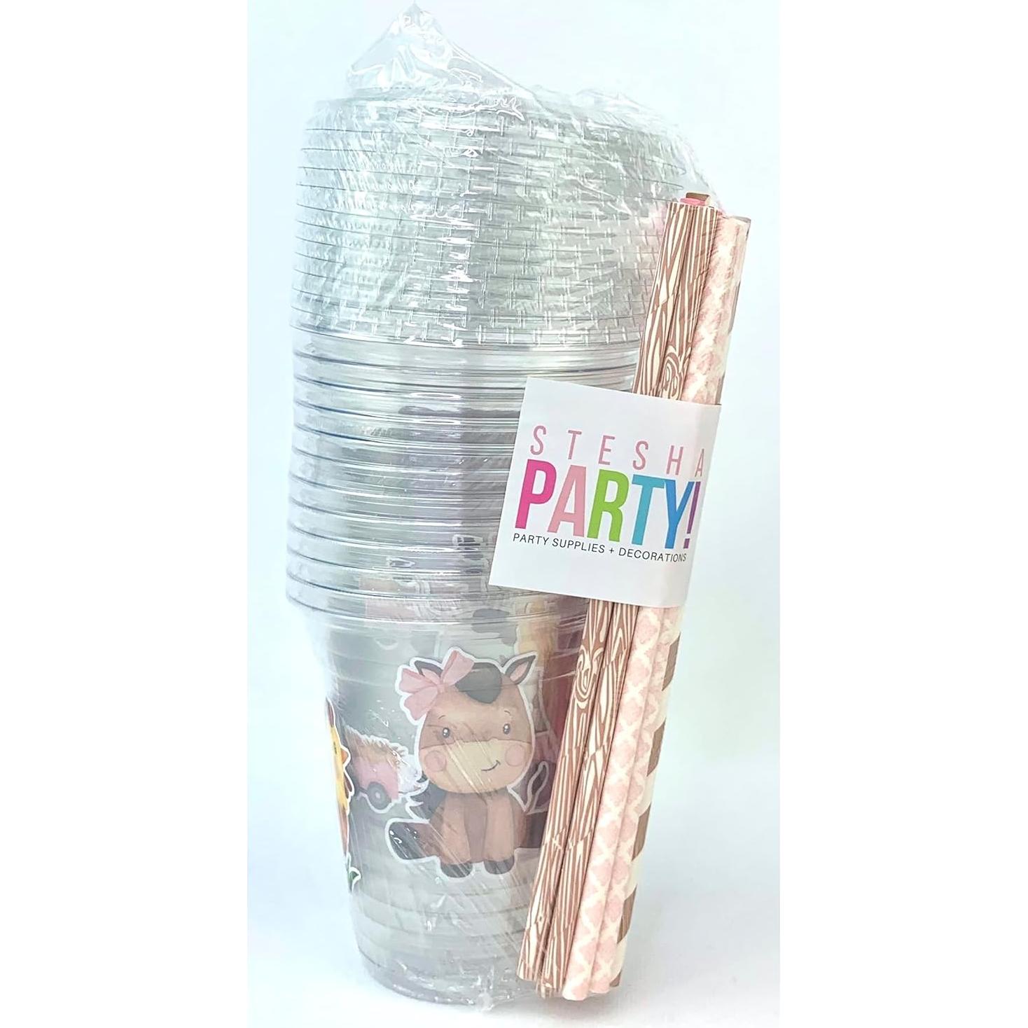 Vasos de Plástico Stesha Party 12 oz Granja Rosa Set 12