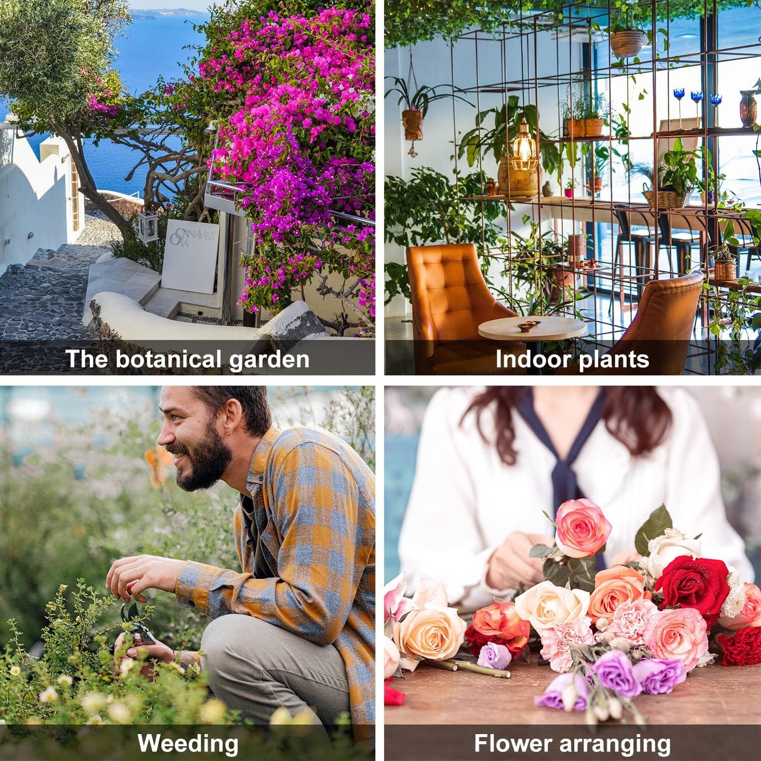 Tijeras de Podar 7 en 1 IGRARK, Acero Inoxidable 20.32 cm