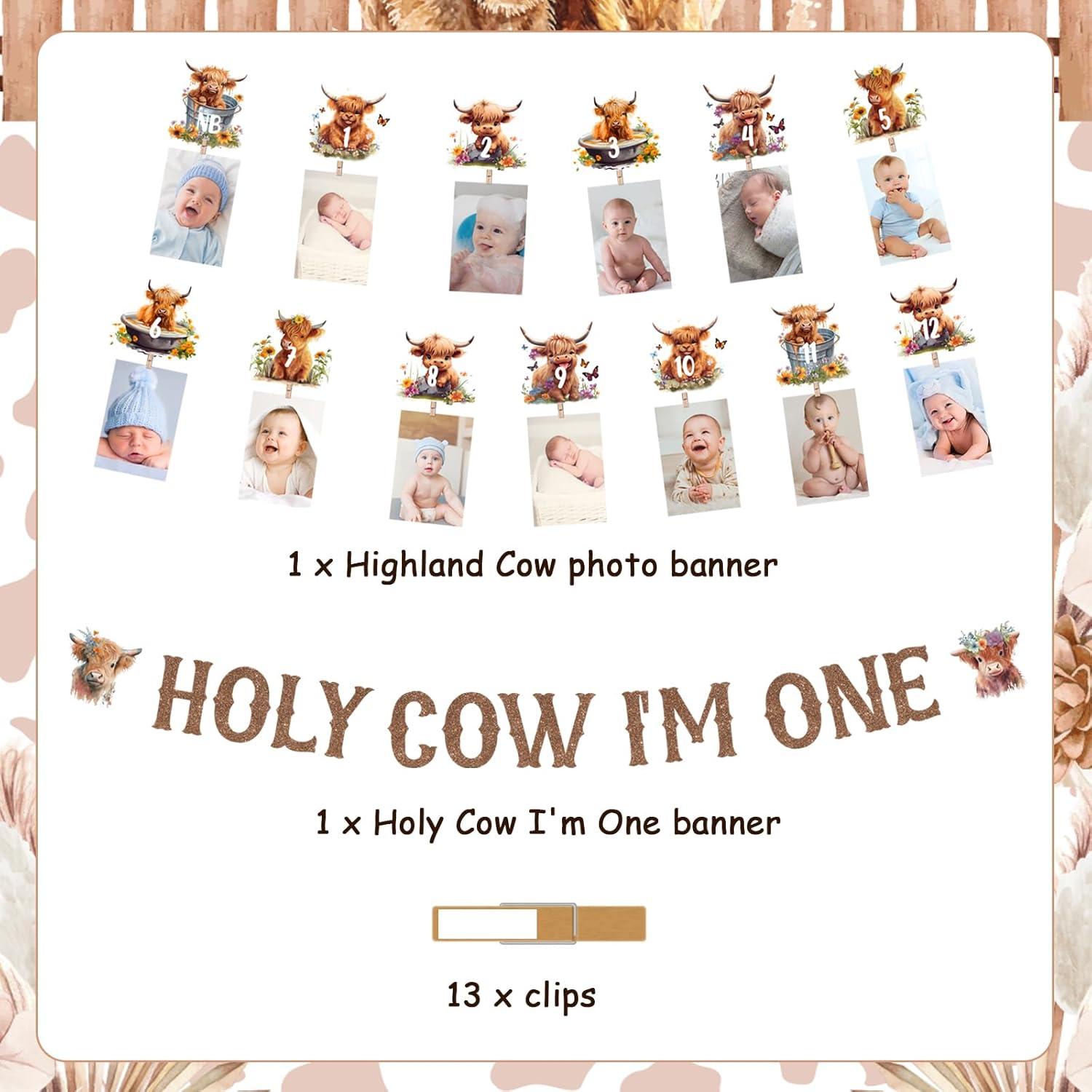 Decoraciones Cumpleaños Vaca Funmemoir 1er Año Banner