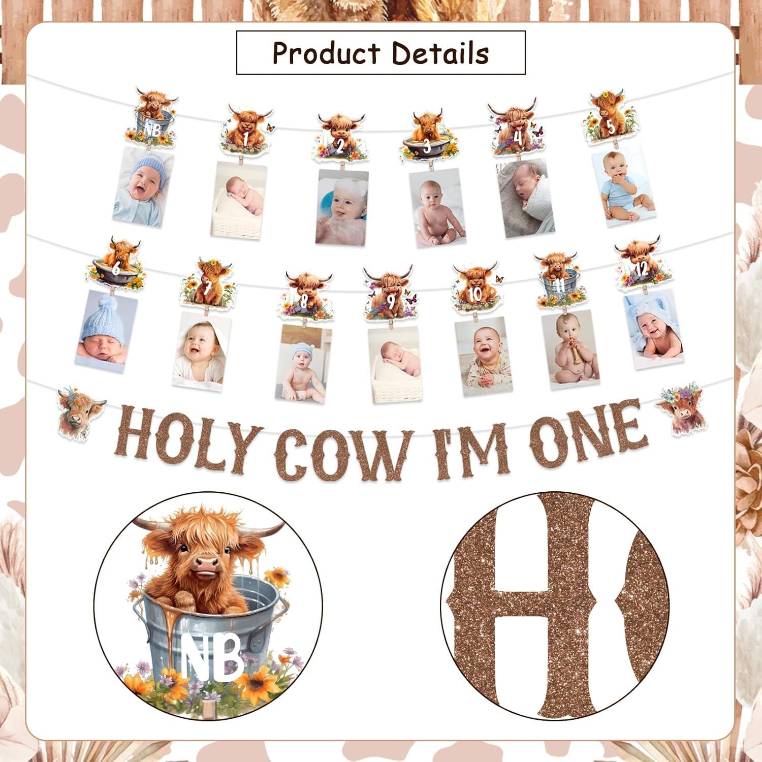 Decoraciones Cumpleaños Vaca Funmemoir 1er Año Banner