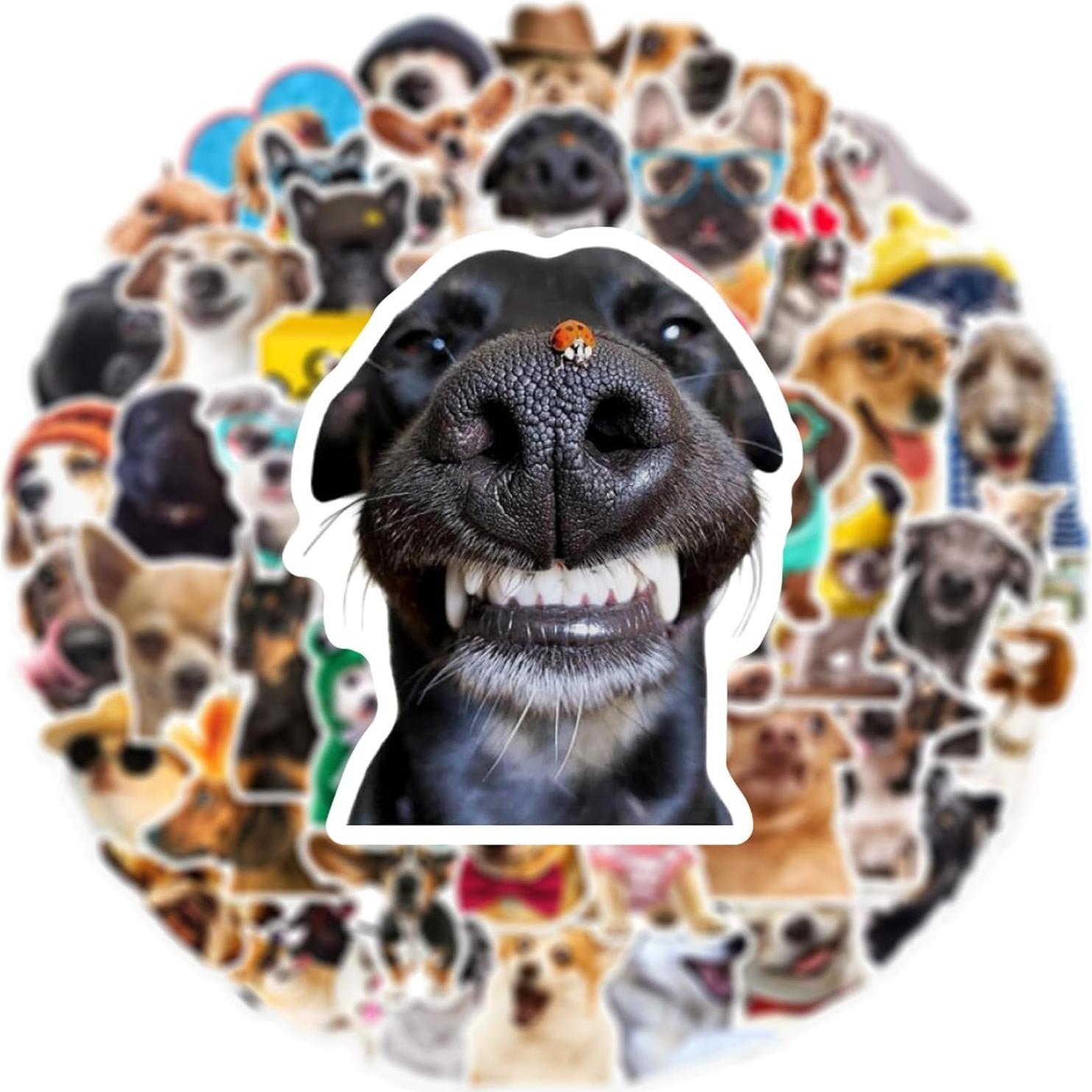 50 Pegatinas Divertidas de Perro Aigemumy Impermeables