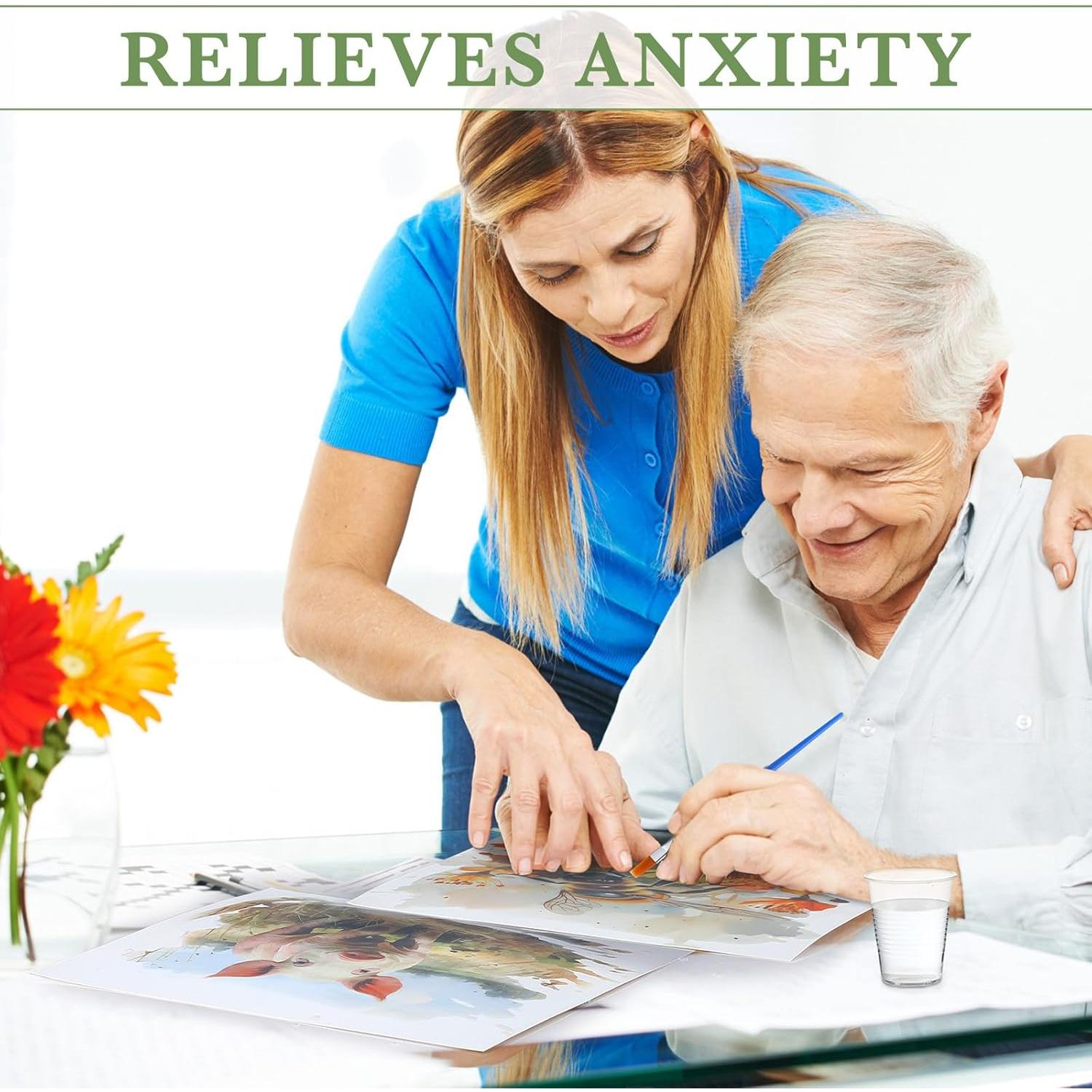 Set de Pintura de Agua Dinifee para Ancianos 75 Piezas