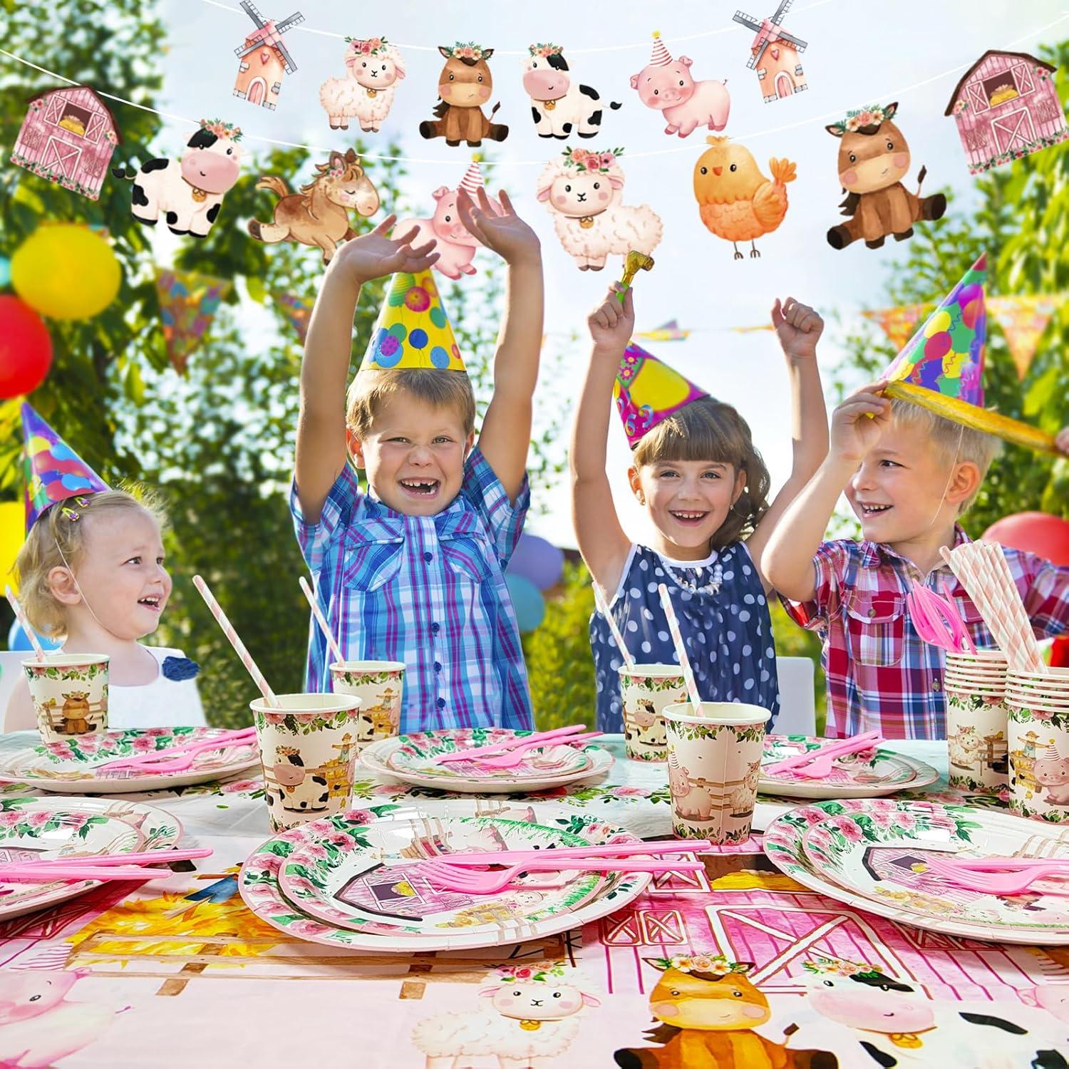 Vajilla de Fiesta de Granja Aoerfes para 24 Invitados