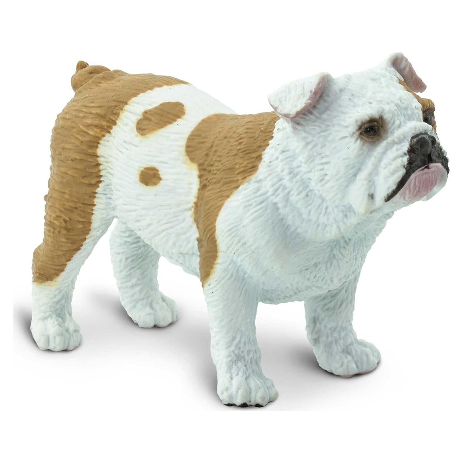 Figura de Bulldog Safari Ltd. - Realista 5,08 cm - Juguete educativo