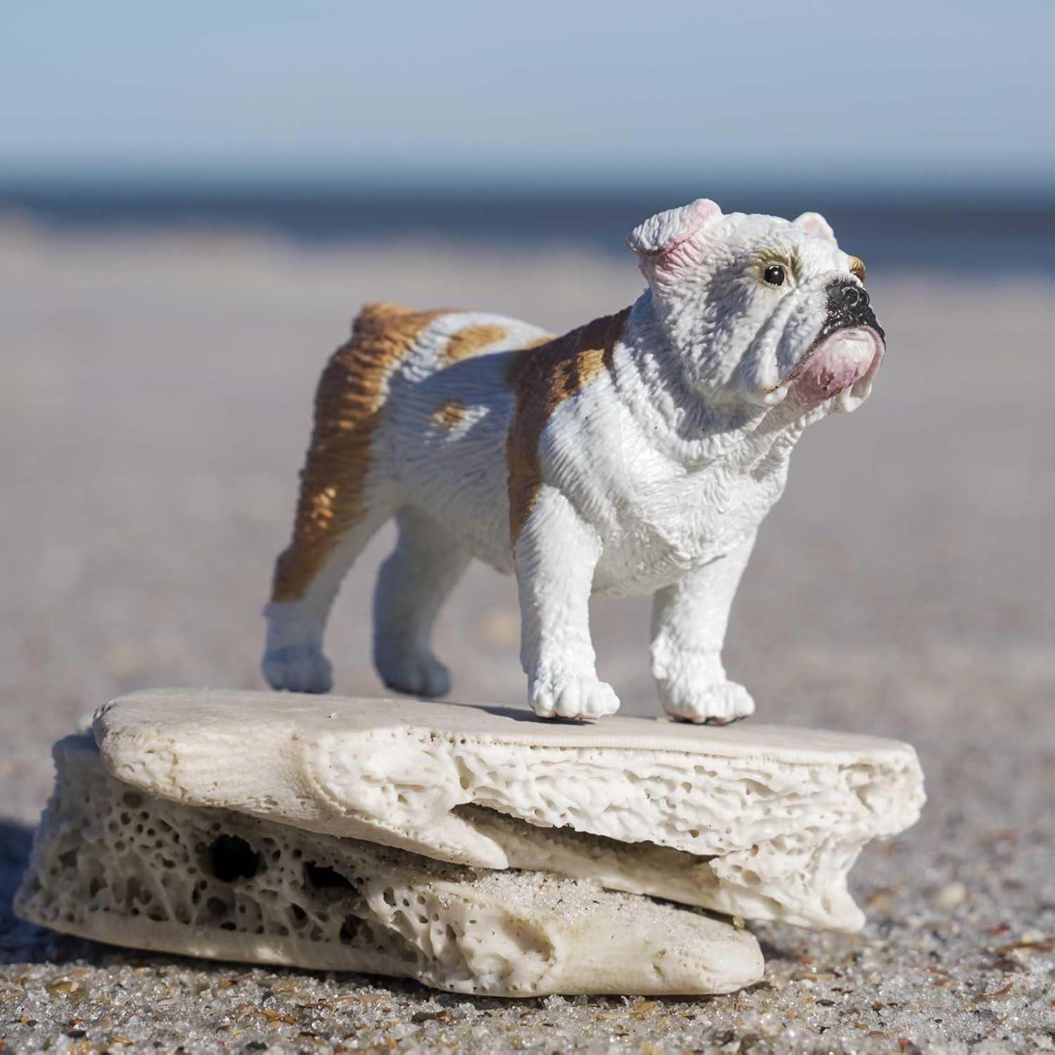 Figura de Bulldog Safari Ltd. - Realista 5,08 cm - Juguete educativo
