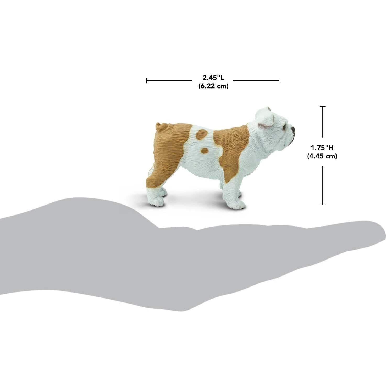Figura de Bulldog Safari Ltd. - Realista 5,08 cm - Juguete educativo