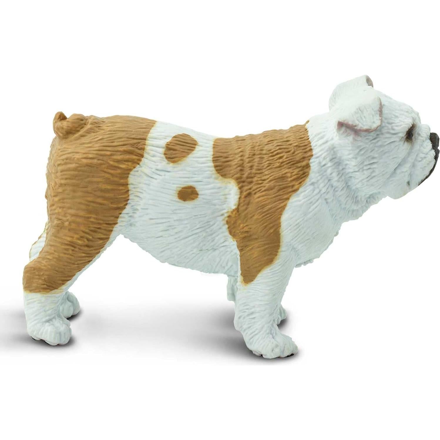 Figura de Bulldog Safari Ltd. - Realista 5,08 cm - Juguete educativo