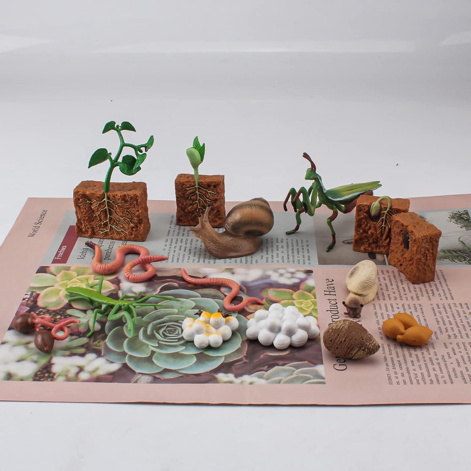 Set Educativo de Animales de Granja WONWONTOYS Ciclo de Crecimiento