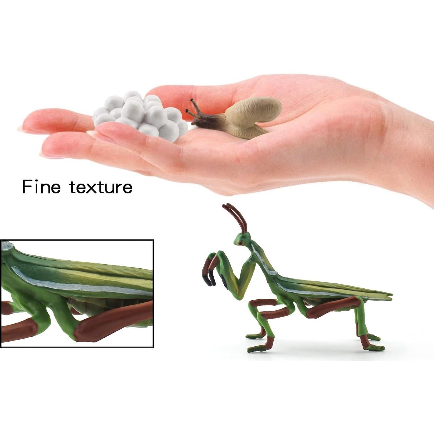 Set Educativo de Animales de Granja WONWONTOYS Ciclo de Crecimiento