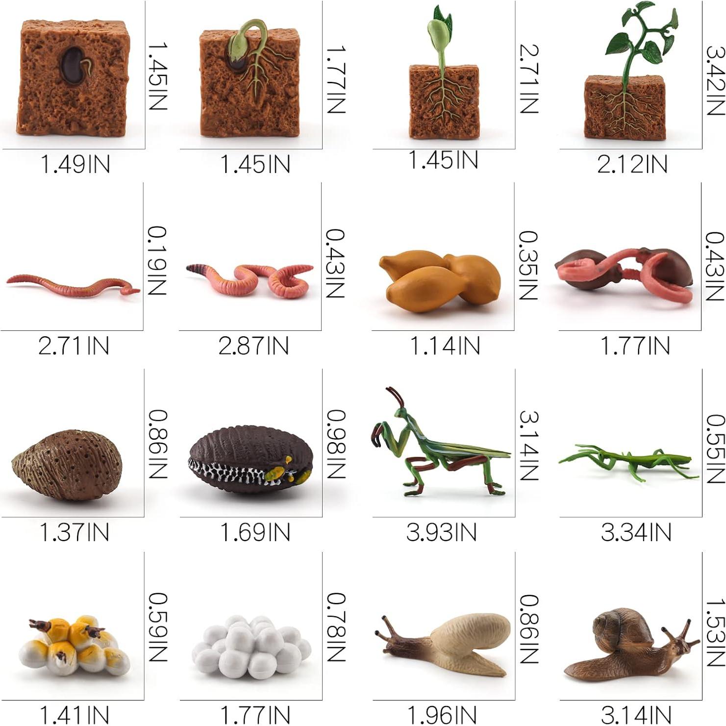 Set Educativo de Animales de Granja WONWONTOYS Ciclo de Crecimiento