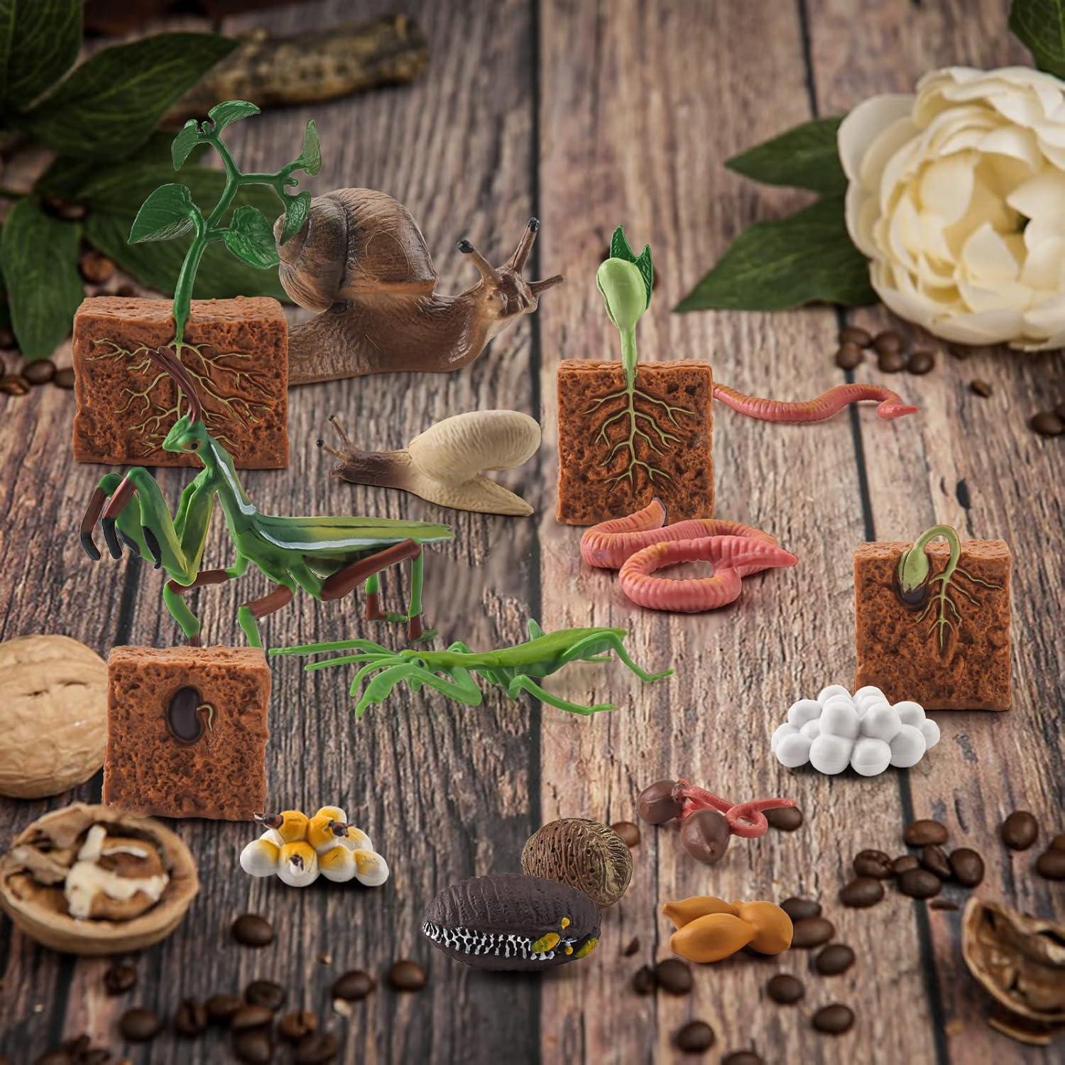 Set Educativo de Animales de Granja WONWONTOYS Ciclo de Crecimiento