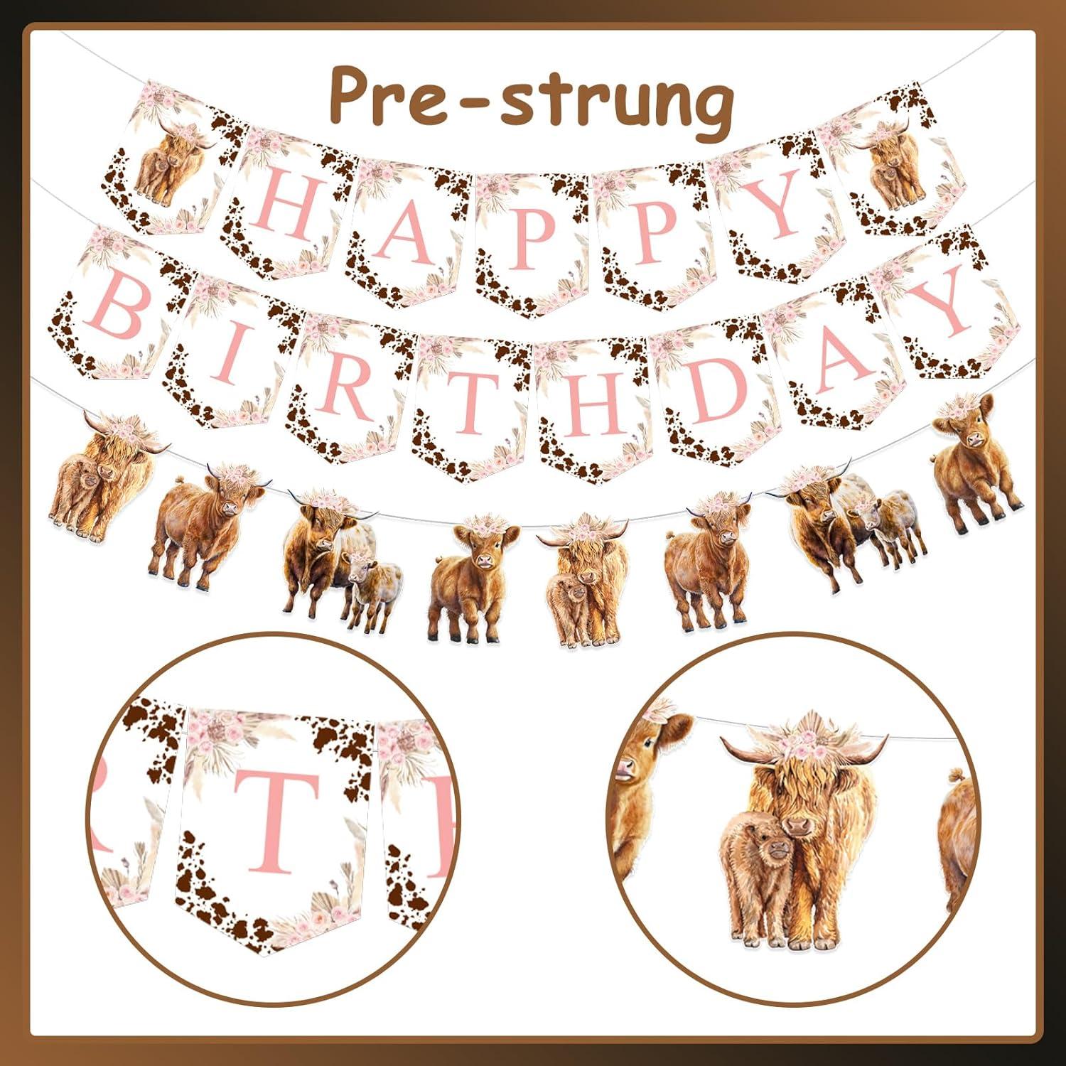 Decoraciones de Cumpleaños Vaca Funmemoir - 20 Globos y Banner