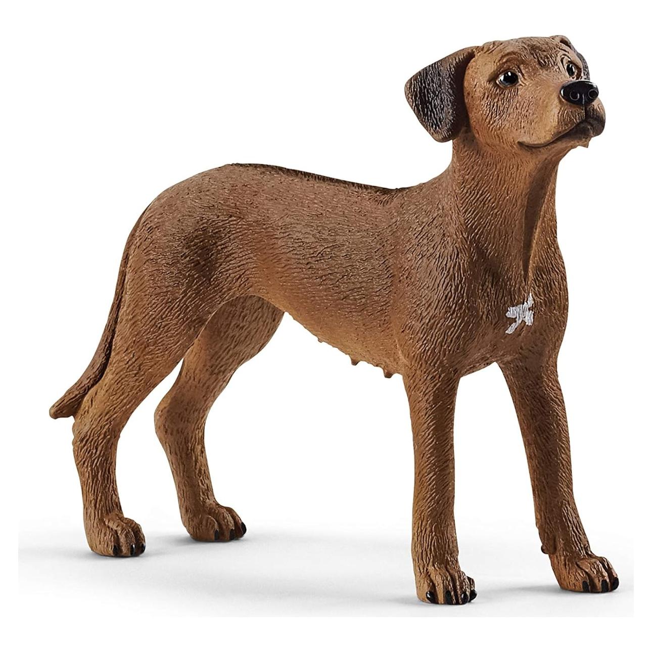 Figura de Rhodesian Ridgeback Schleich 6.6x5.08cm 3+