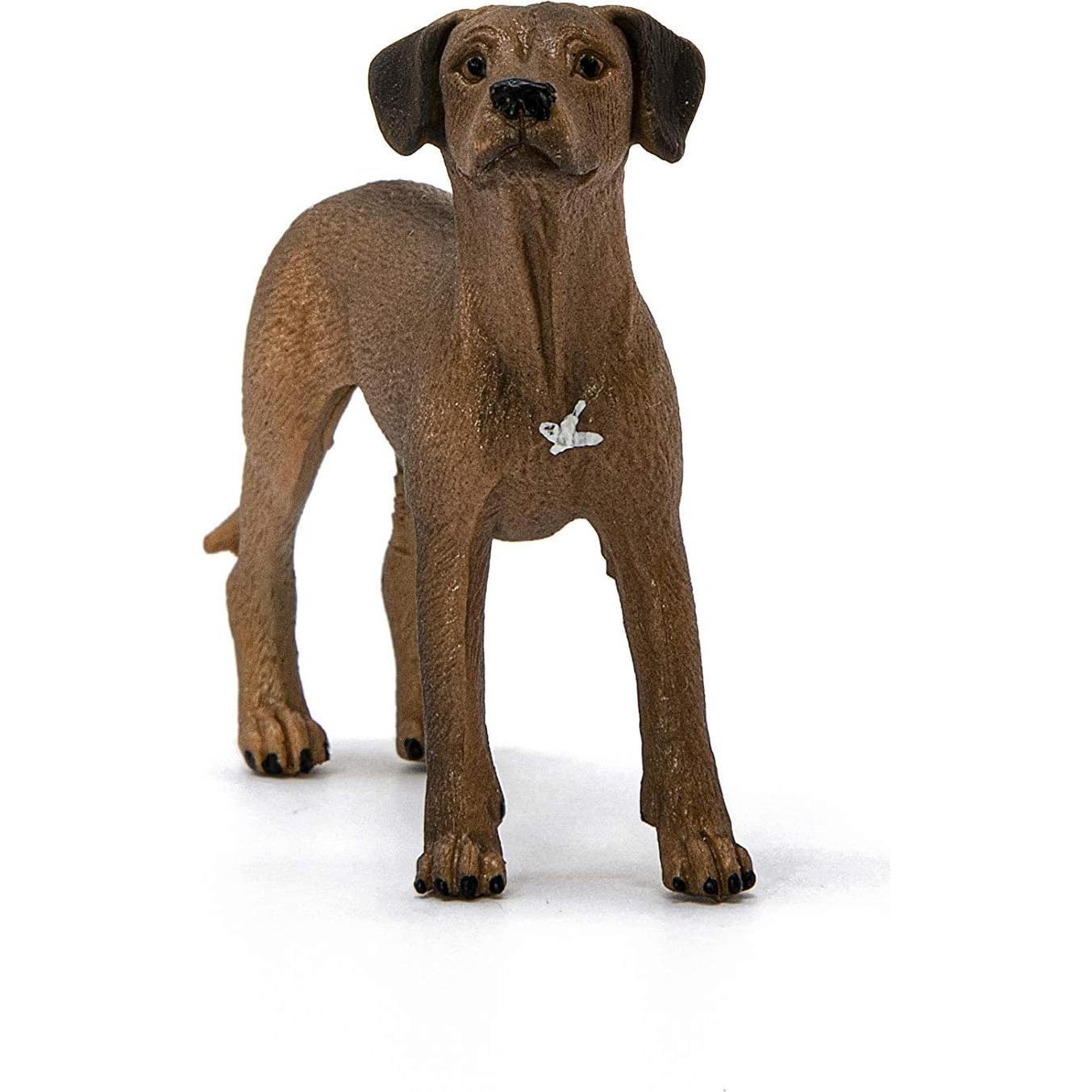Figura de Rhodesian Ridgeback Schleich 6.6x5.08cm 3+