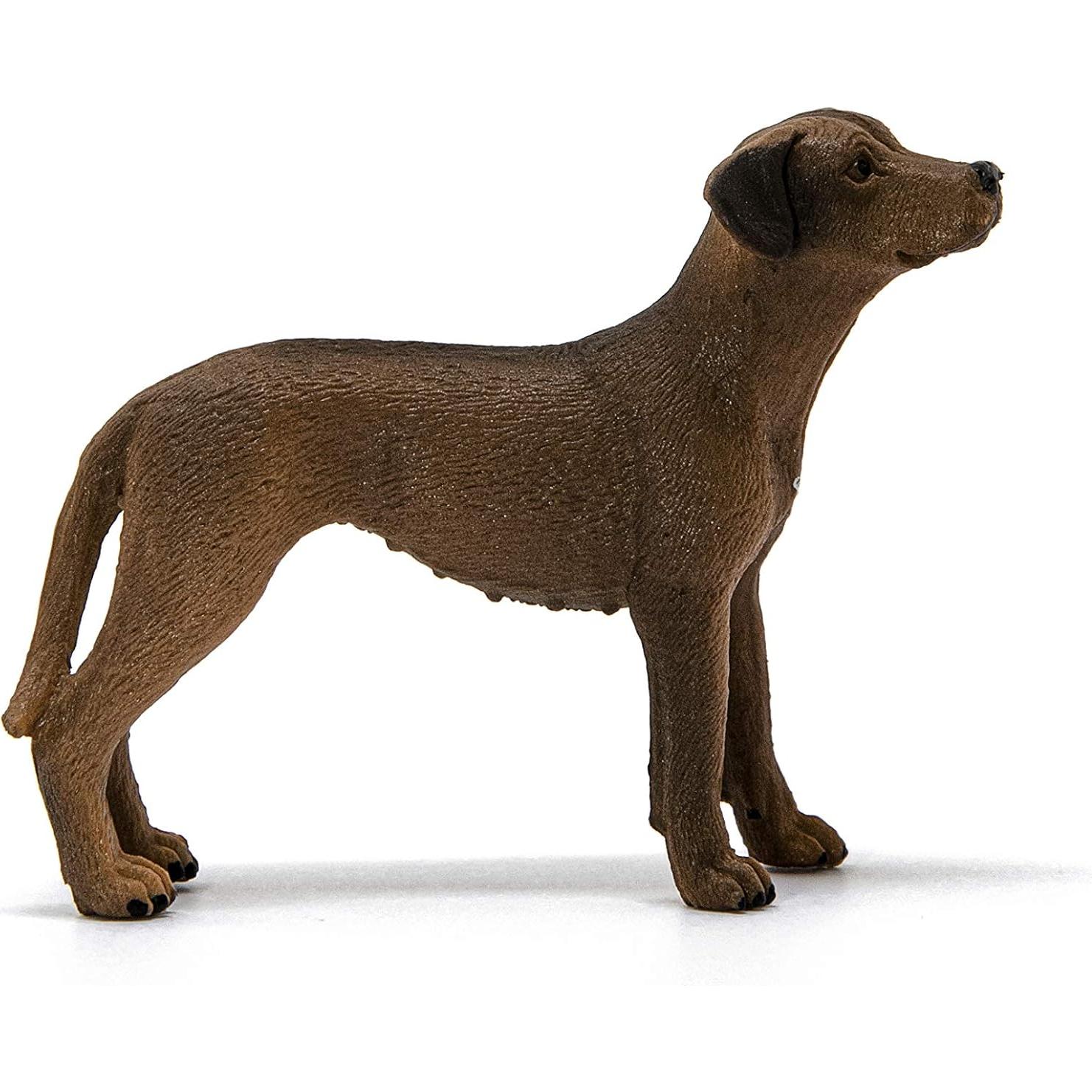 Figura de Rhodesian Ridgeback Schleich 6.6x5.08cm 3+