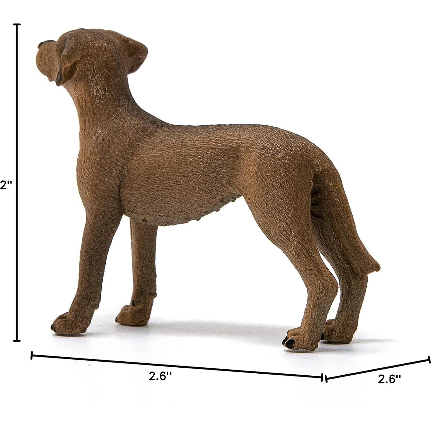 Figura de Rhodesian Ridgeback Schleich 6.6x5.08cm 3+