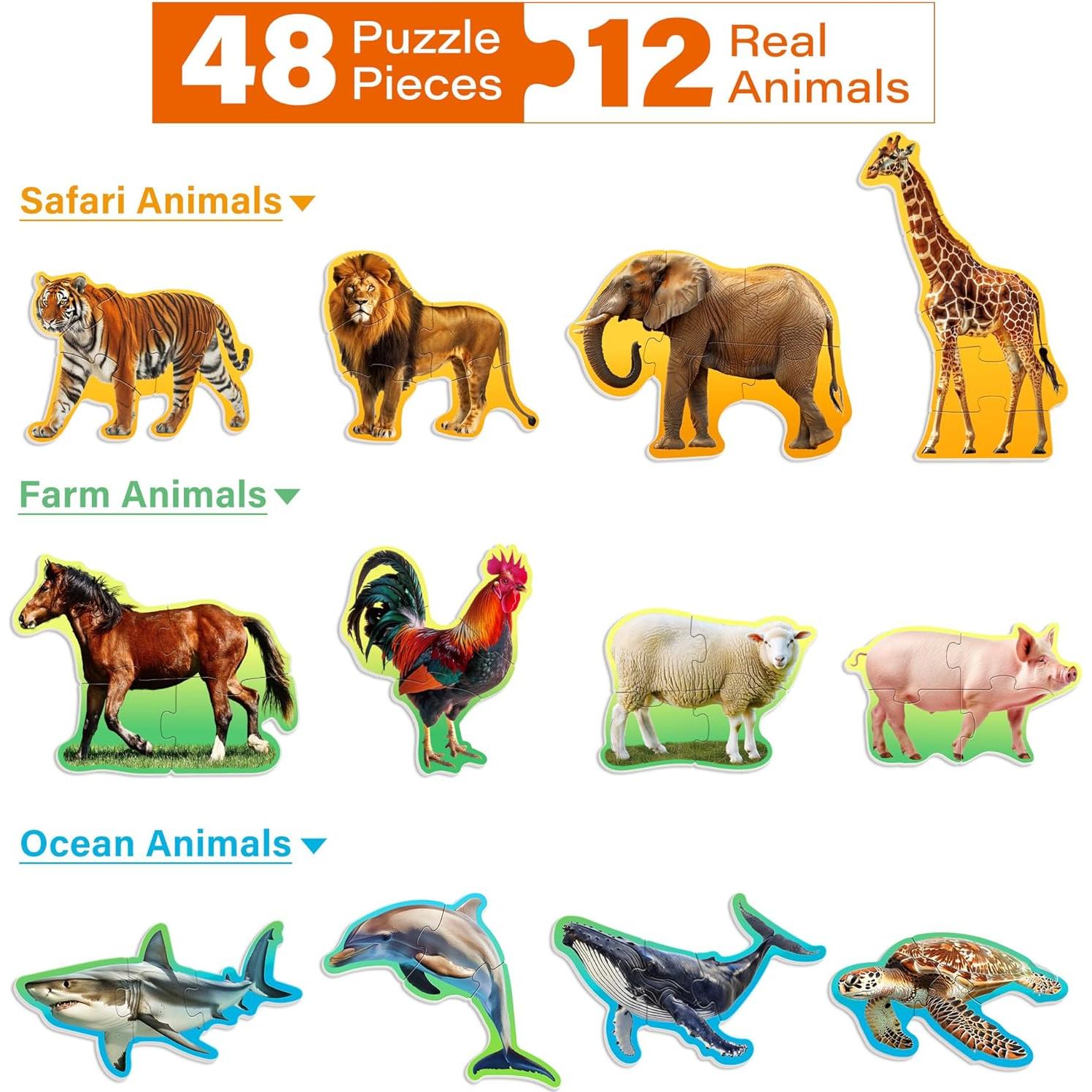 Puzzles BenBen para Niños 12 Animales 48 Piezas Educativos