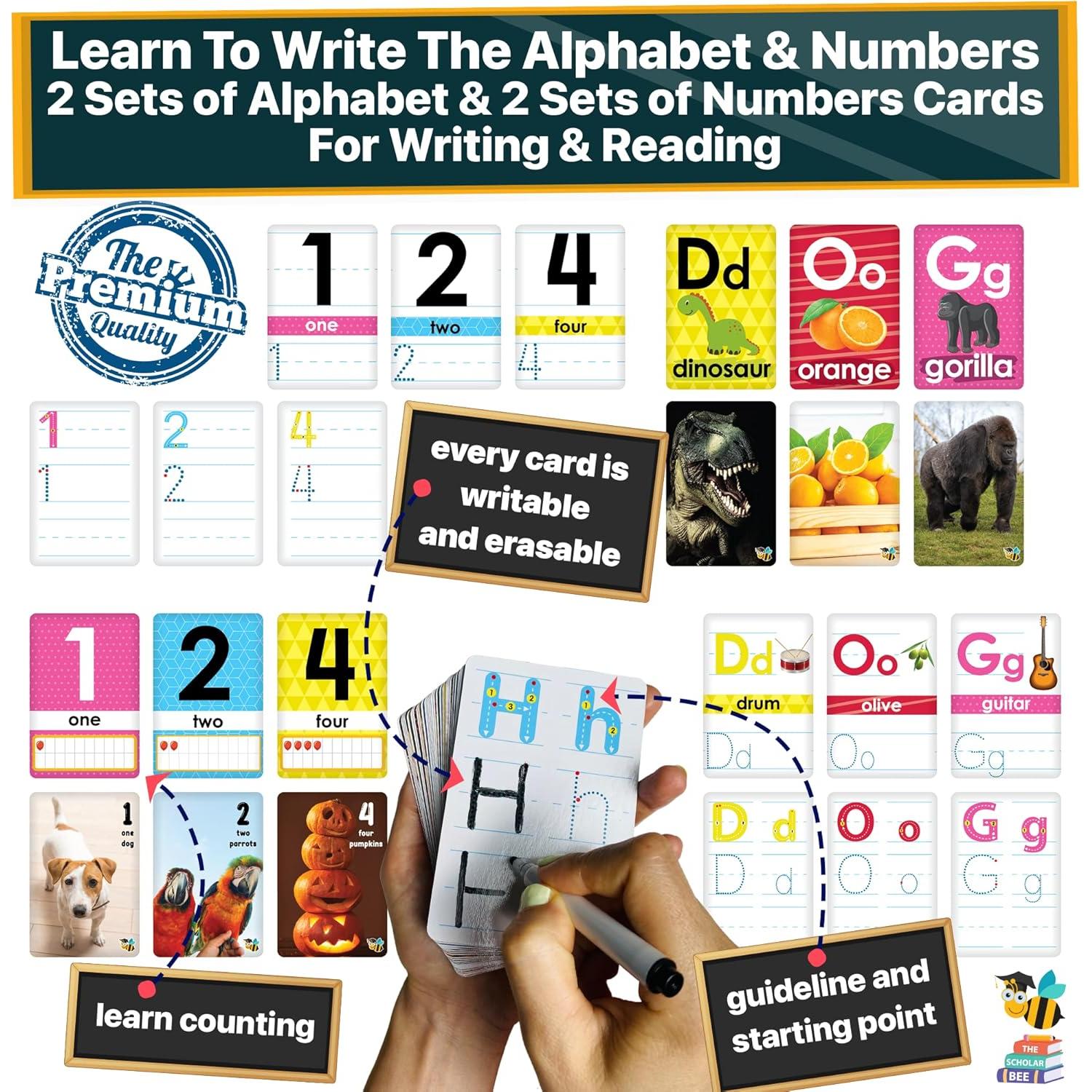 Tarjetas Didácticas Jumbo Scholar Bee 468 Piezas 2-4 Años