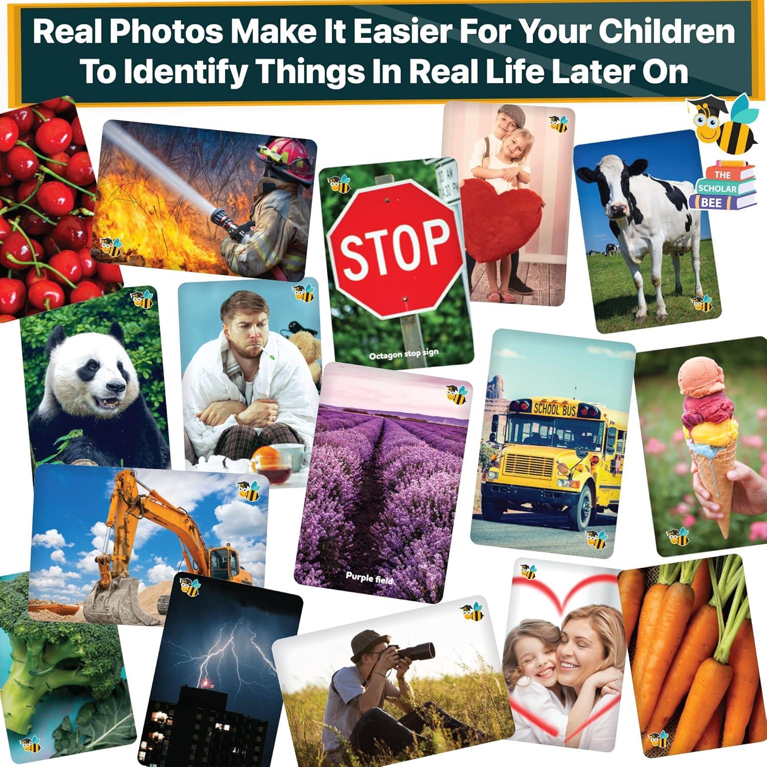 Tarjetas Didácticas Jumbo Scholar Bee 468 Piezas 2-4 Años