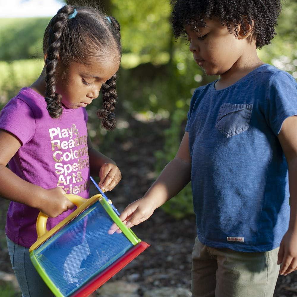 Caja de Crustáceos Toysmith - Exploración de Insectos 21x19x14cm