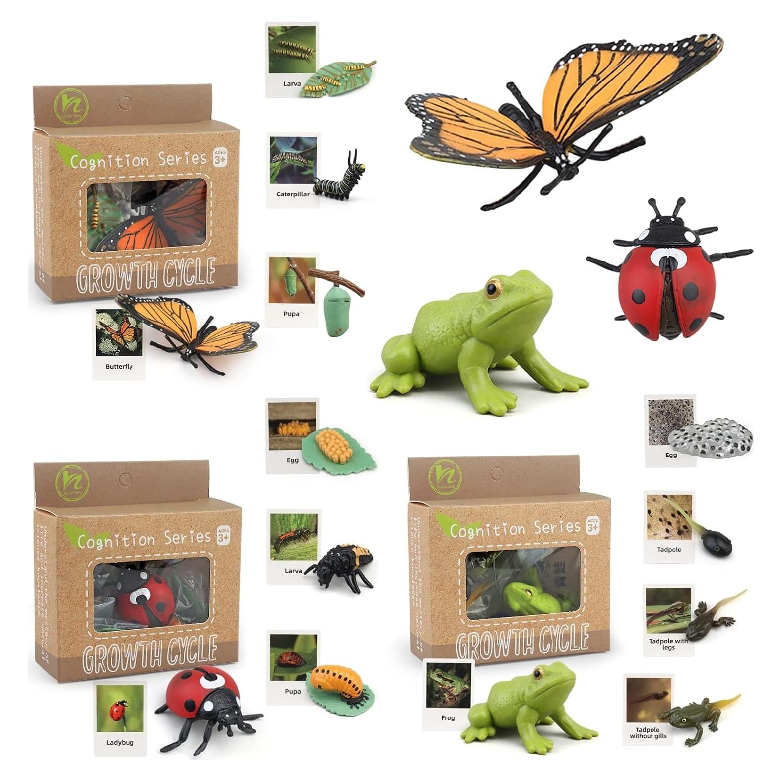 Juguete Educativo Ciclo de Vida Insectos MIKNEKE 3 Figuras