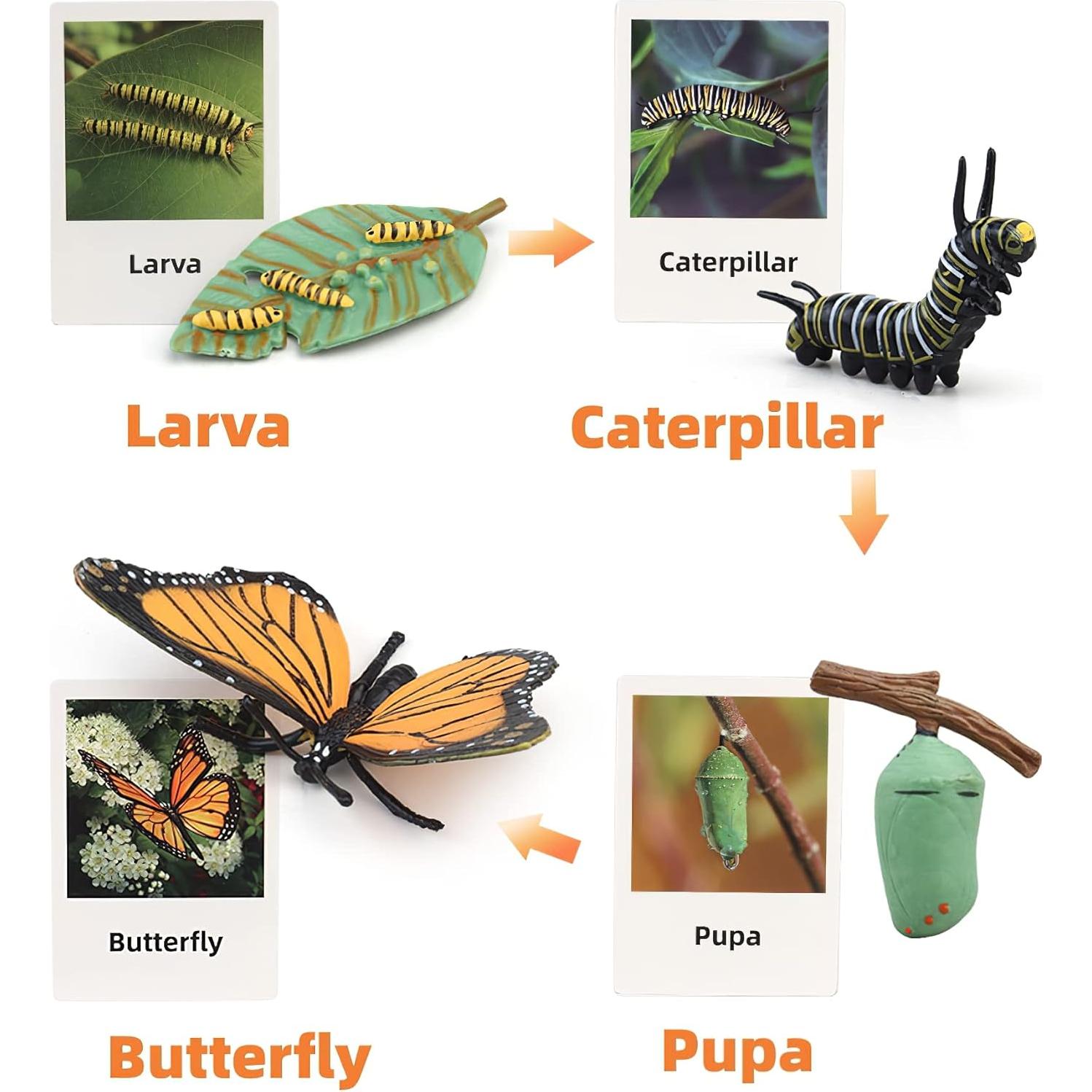Juguete Educativo Ciclo de Vida Insectos MIKNEKE 3 Figuras