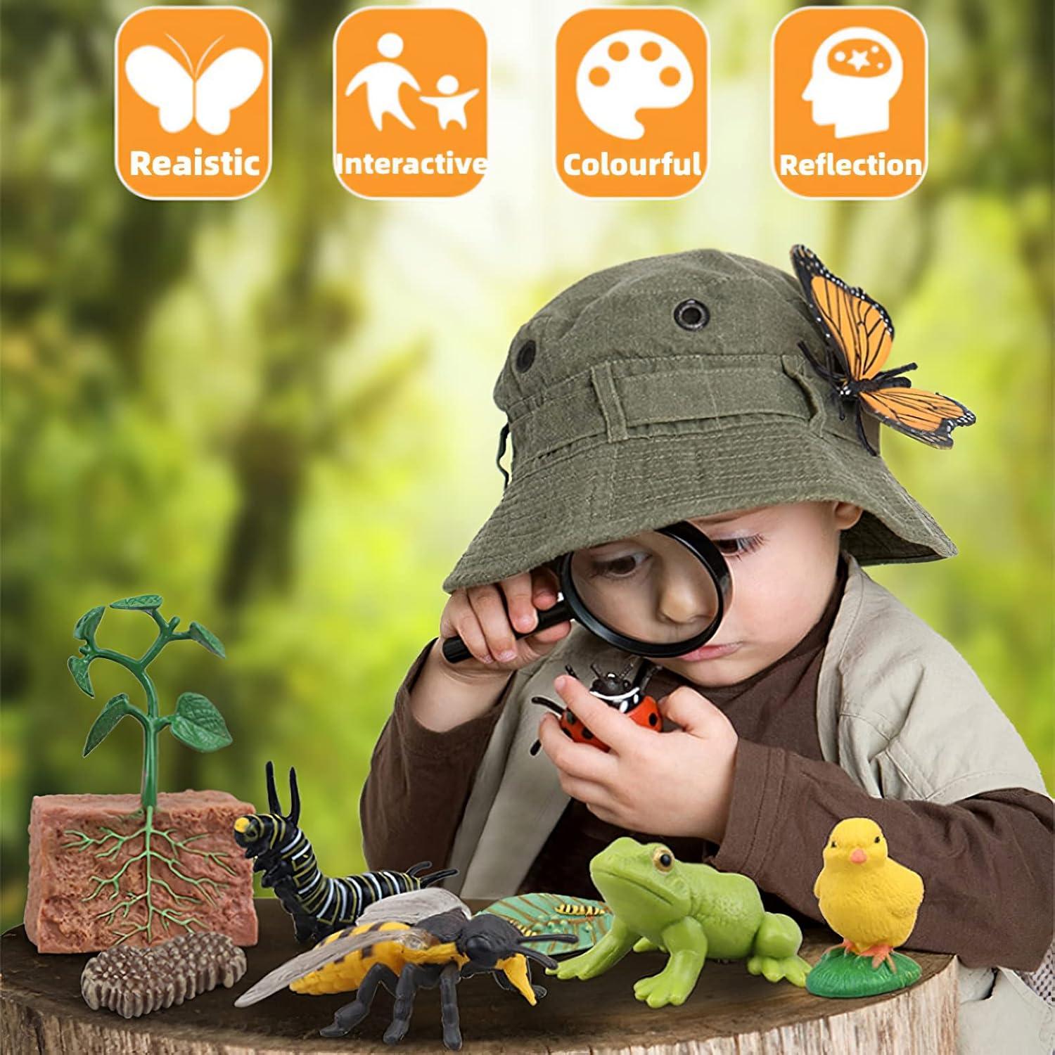 Juguete Educativo Ciclo de Vida Insectos MIKNEKE 3 Figuras