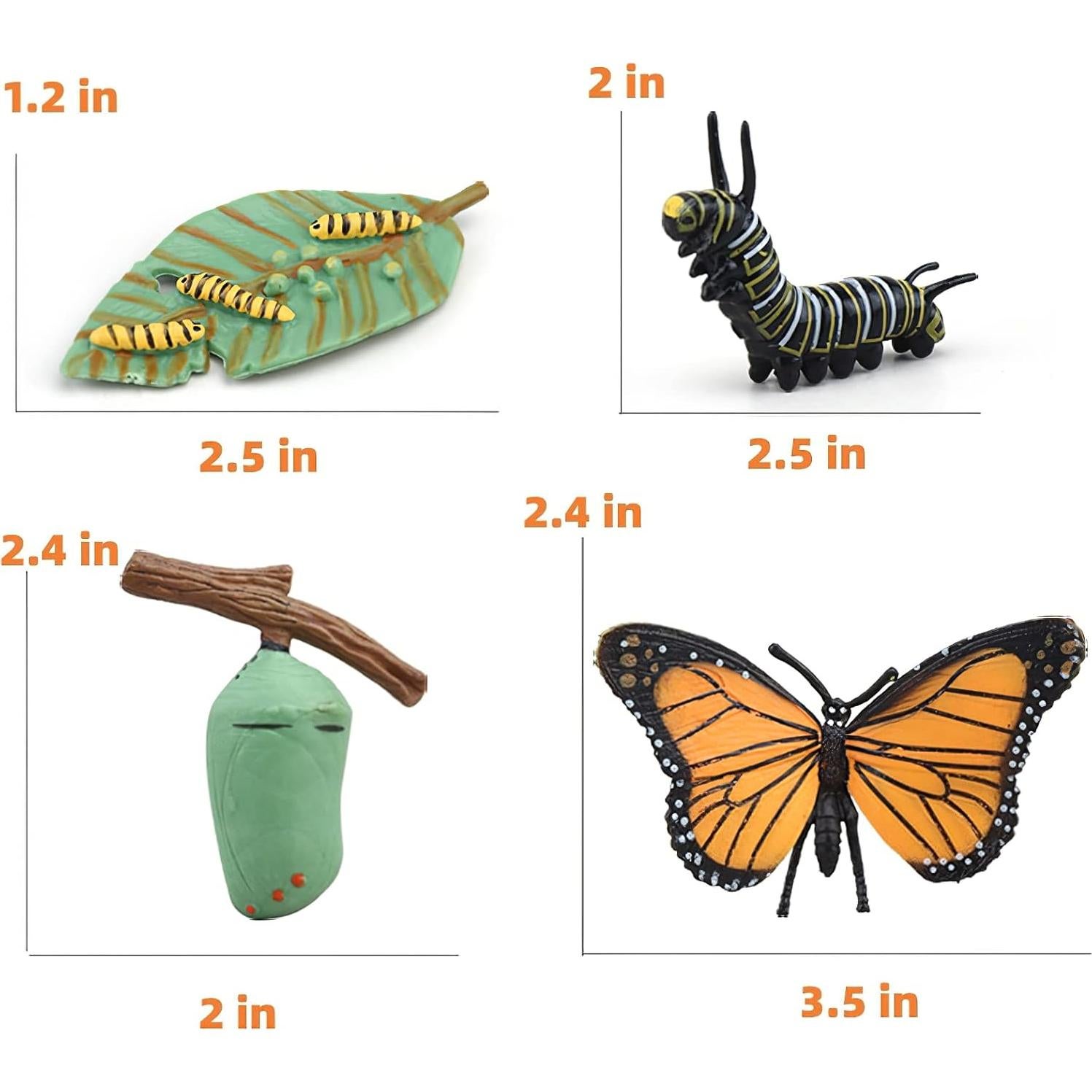Juguete Educativo Ciclo de Vida Insectos MIKNEKE 3 Figuras