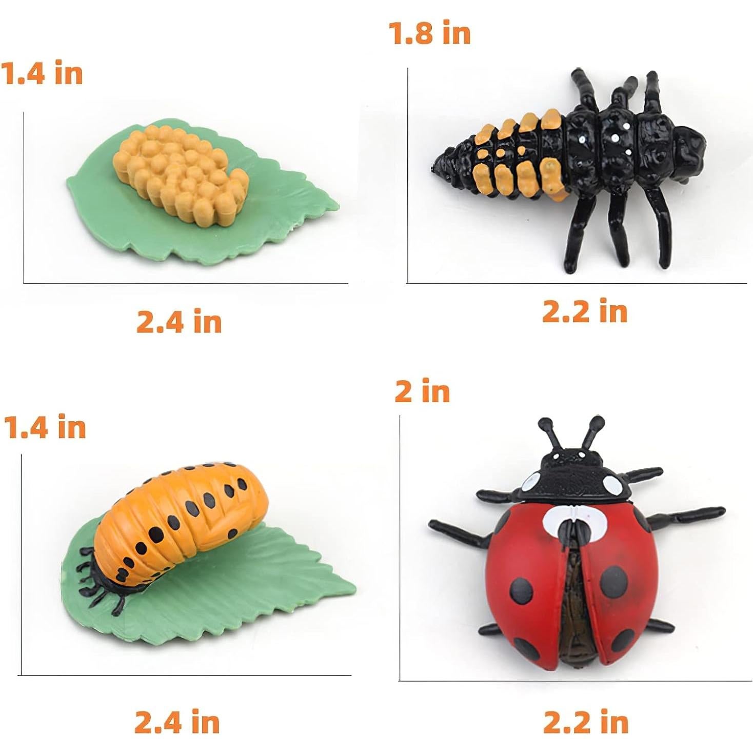 Juguete Educativo Ciclo de Vida Insectos MIKNEKE 3 Figuras