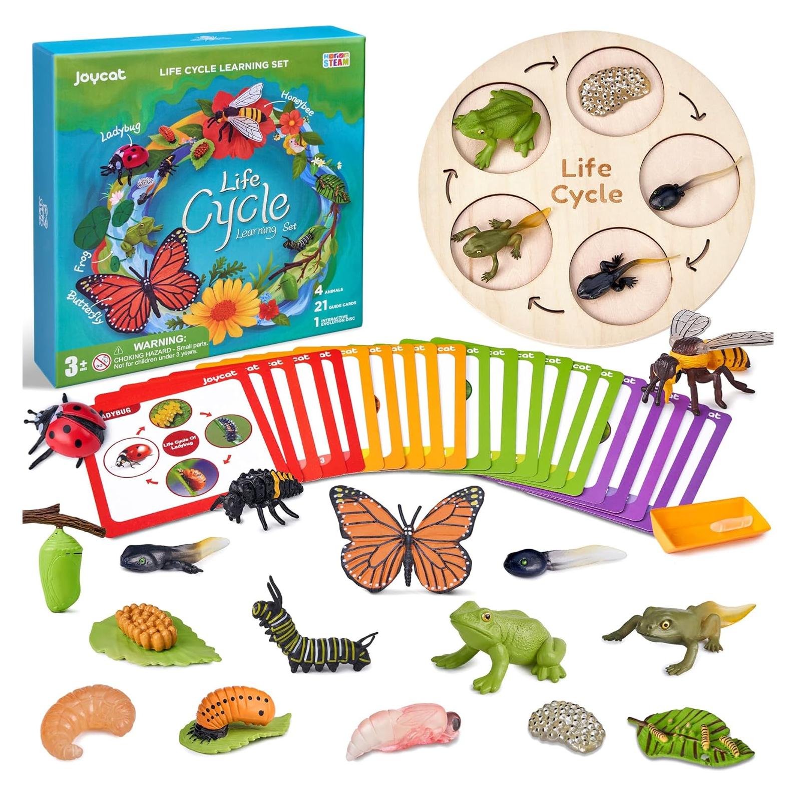 JoyCat Juguetes Educativos Ciclo de Vida Insectos 4 en 1