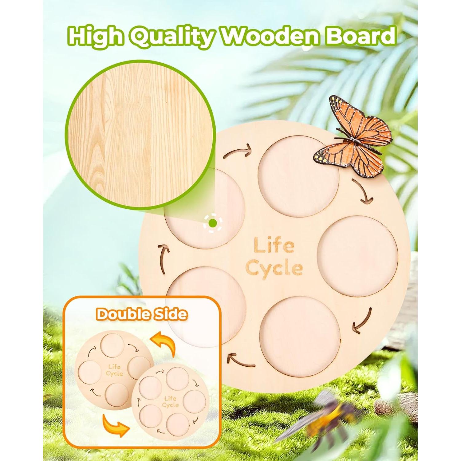 JoyCat Juguetes Educativos Ciclo de Vida Insectos 4 en 1