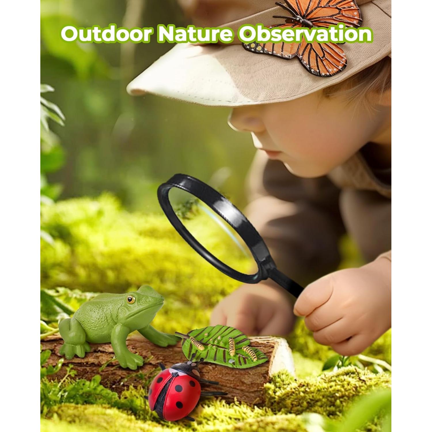 JoyCat Juguetes Educativos Ciclo de Vida Insectos 4 en 1