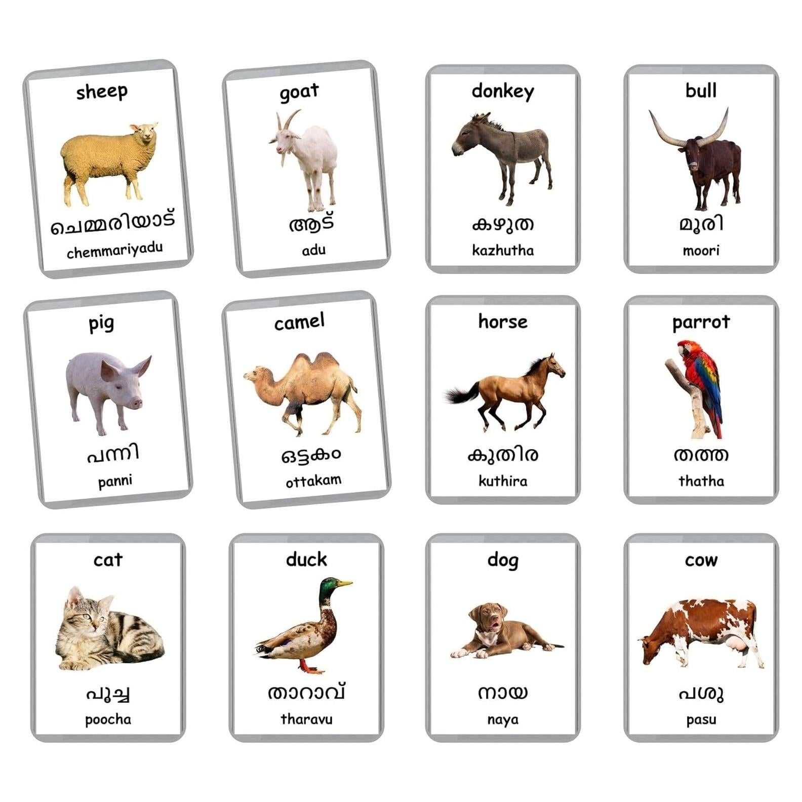 Tarjetas de Flash de Animales de Granja - LifeLoLo - 27 Tarjetas