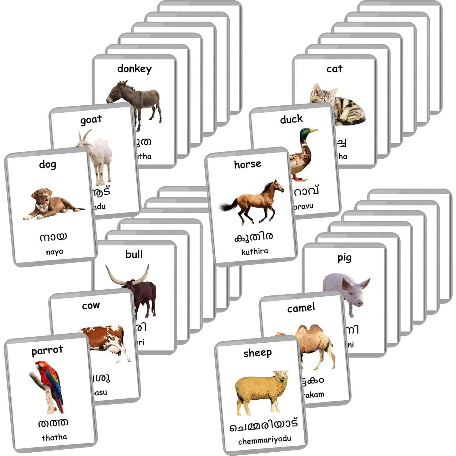 Tarjetas de Flash de Animales de Granja - LifeLoLo - 27 Tarjetas