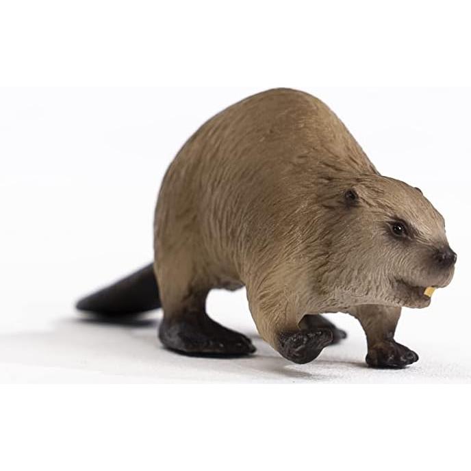 Juguete Castor Schleich Wild Life para Niños + 9.8 cm