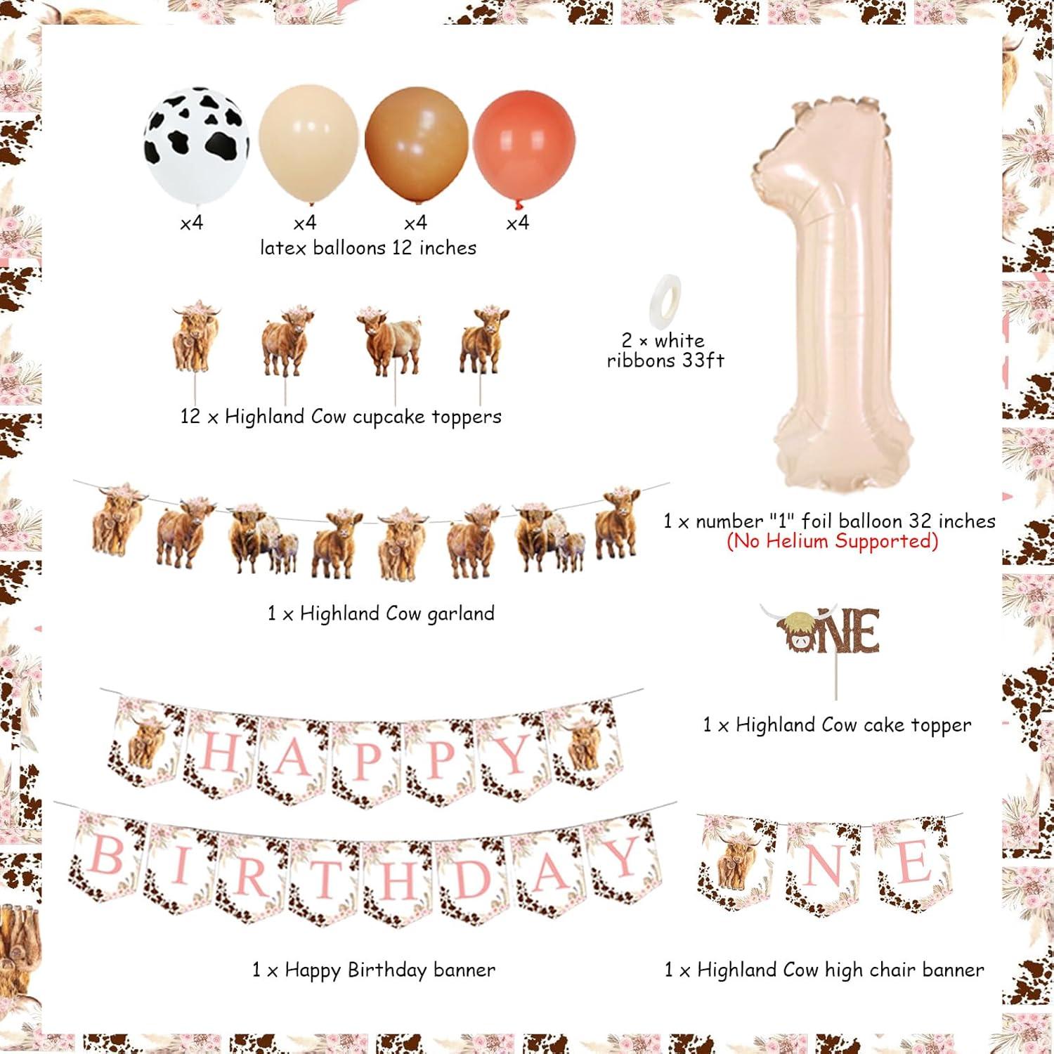 Decoraciones Cumpleaños Vaca Tierras Altas Rosa 1er Año