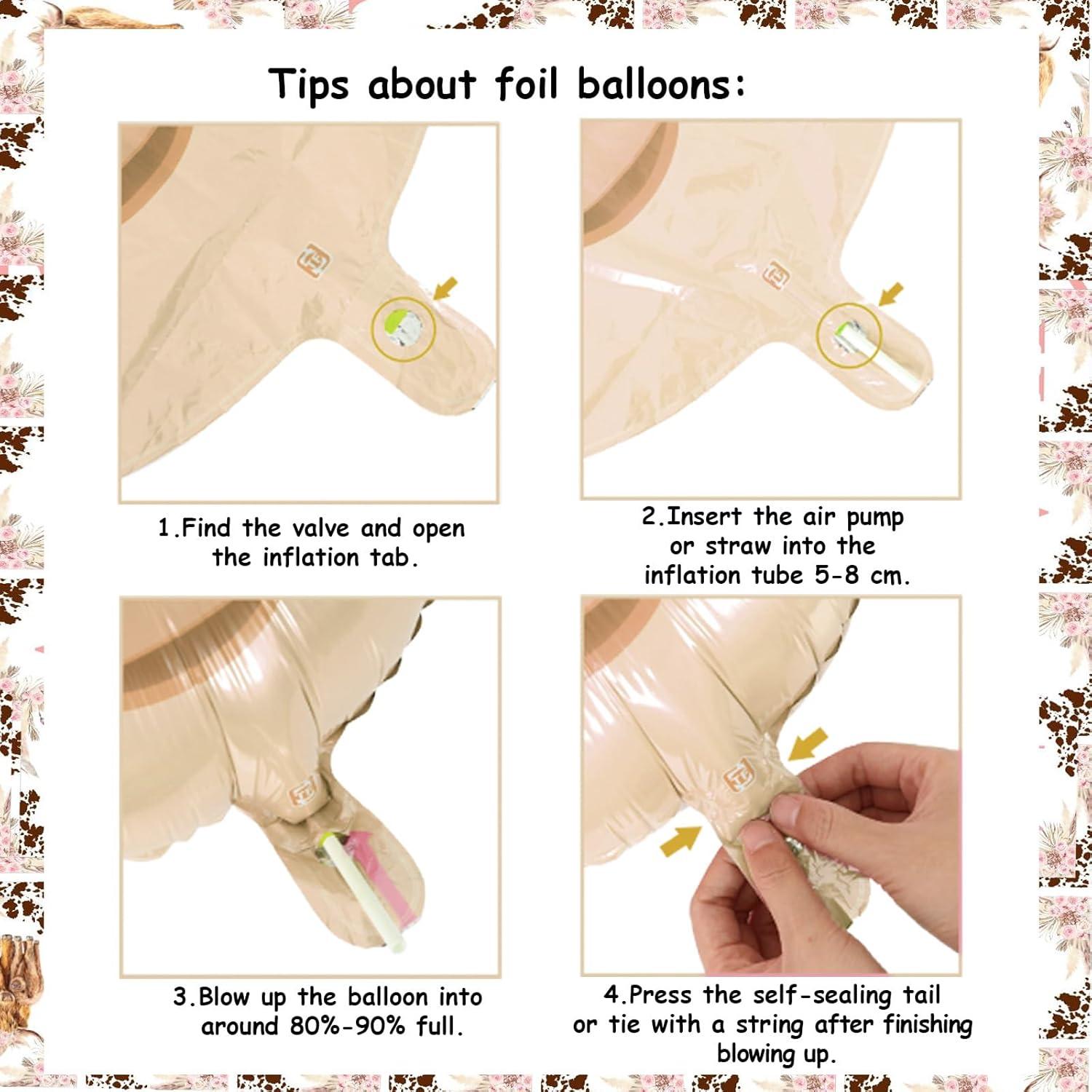 Decoraciones Cumpleaños Vaca Tierras Altas Rosa 1er Año