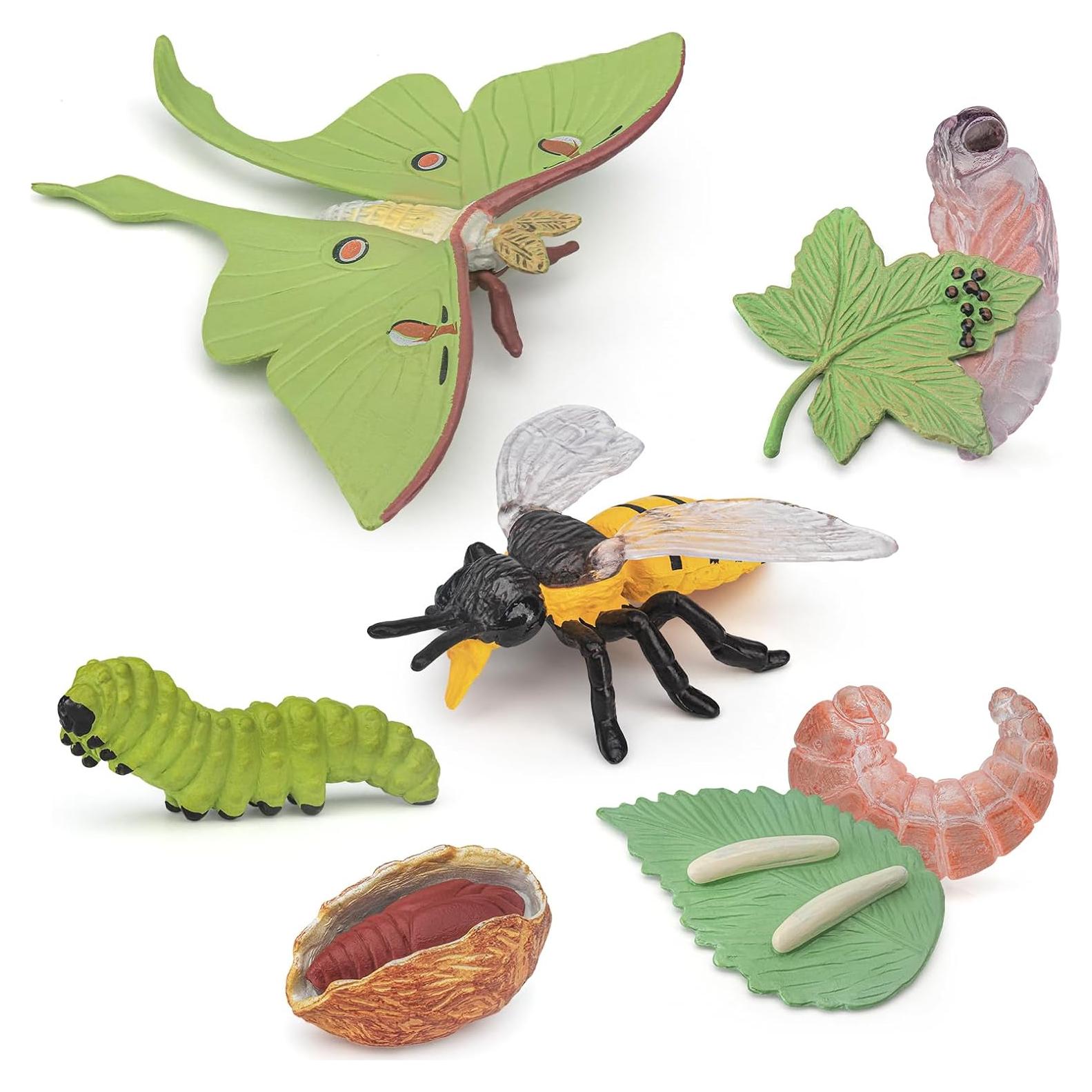 Conjunto de Ciclo de Vida de Insectos 8 PZS BRETOYIN