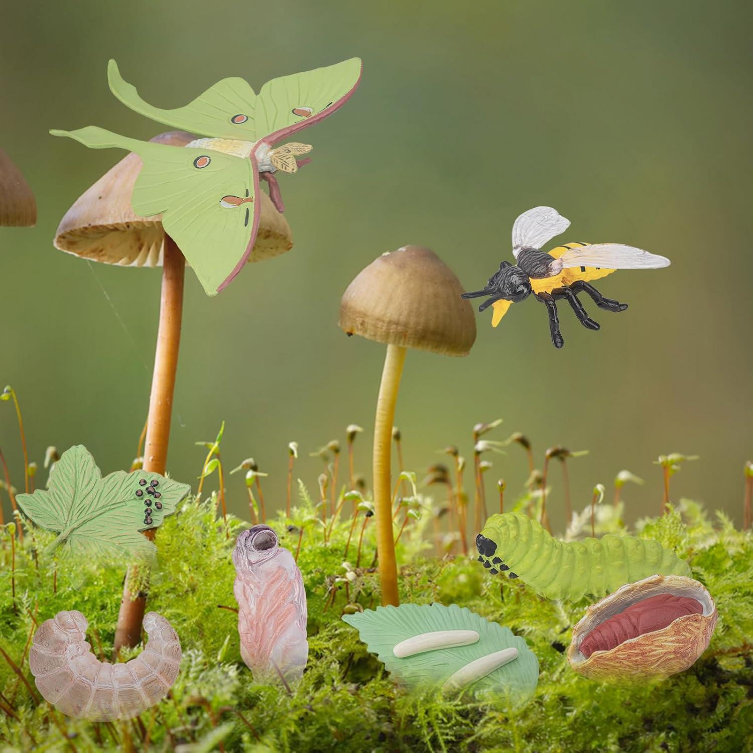 Conjunto de Ciclo de Vida de Insectos 8 PZS BRETOYIN