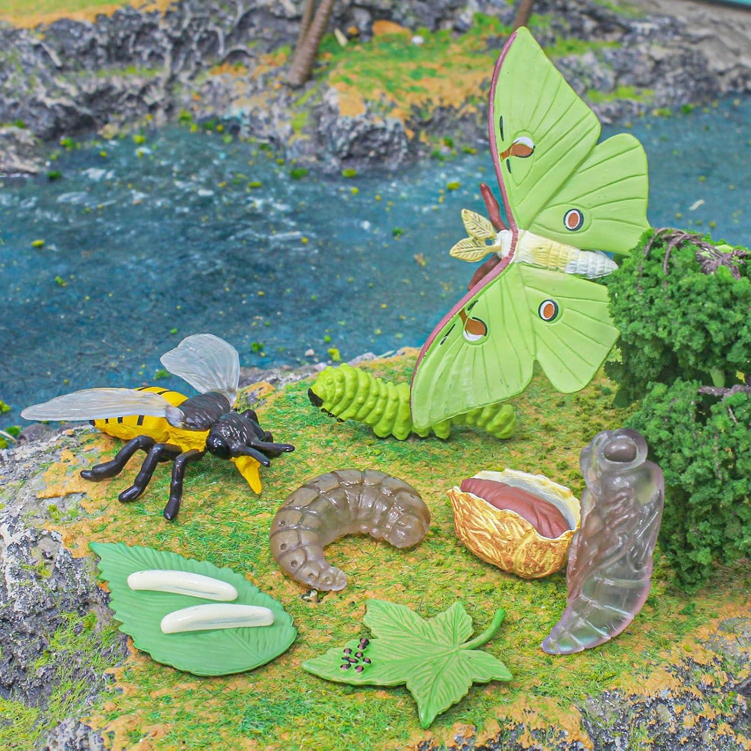 Conjunto de Ciclo de Vida de Insectos 8 PZS BRETOYIN