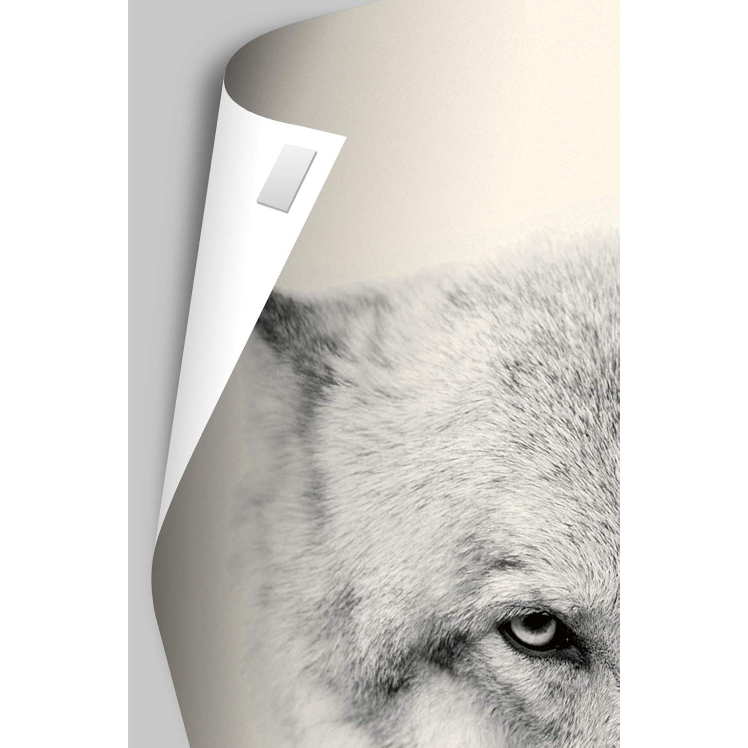 Póster de Pared Dragon Ball Super Trends International 56.83x86.36cm