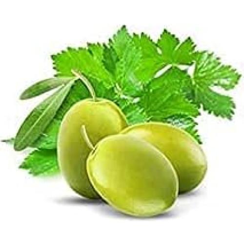 Detergente para Platos Cucina 1006 ml Cilantro y Olivo