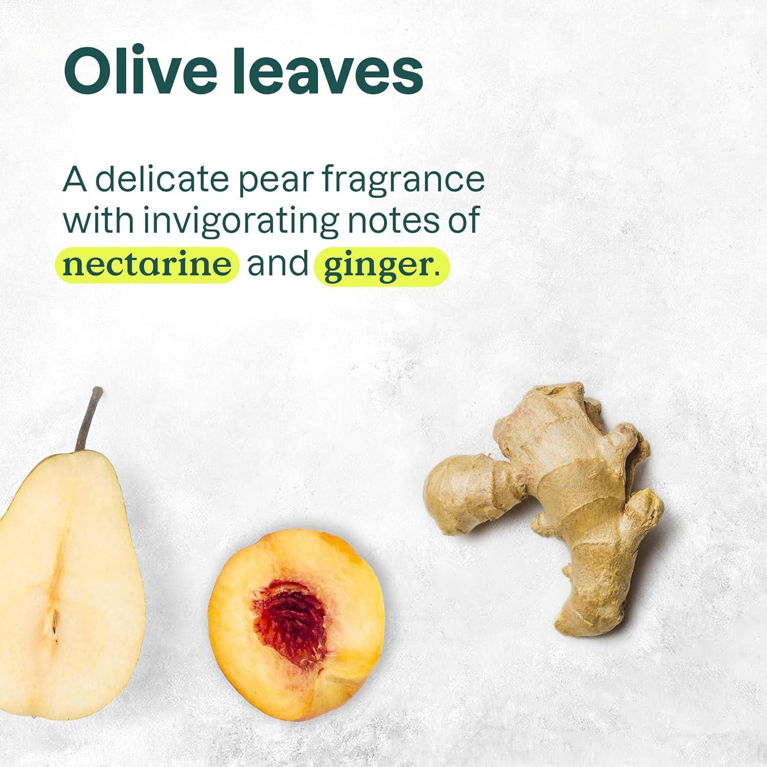 Loción Corporal ATTITUDE 473 ml Vegana Hidratante Pera Ámbar