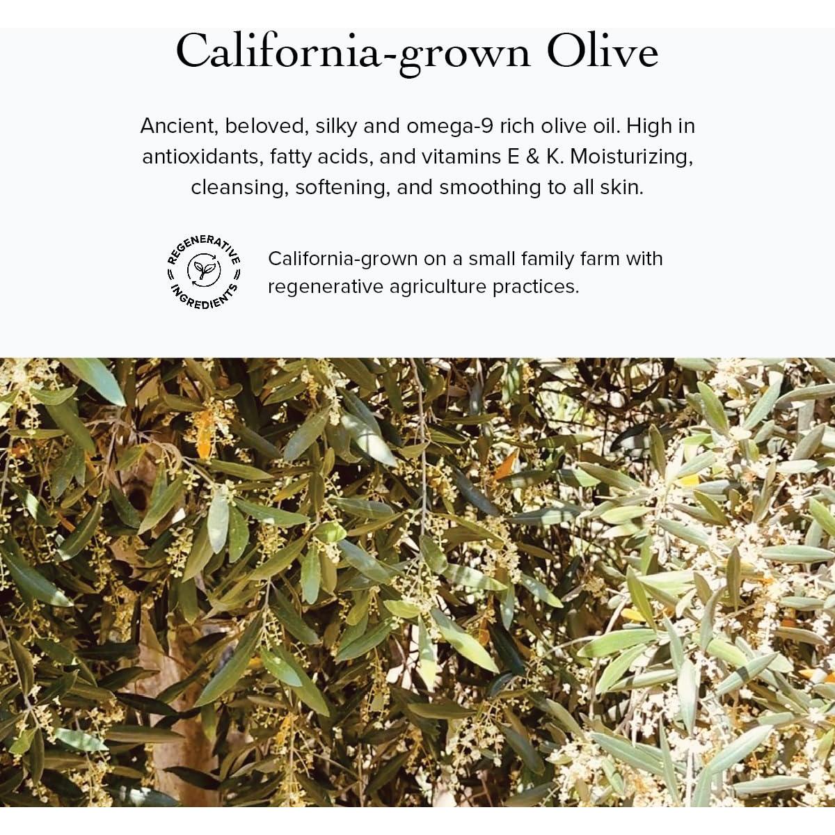 Aceite Limpiador Facial Orgánico Evanhealy 59g - Piel Sensible