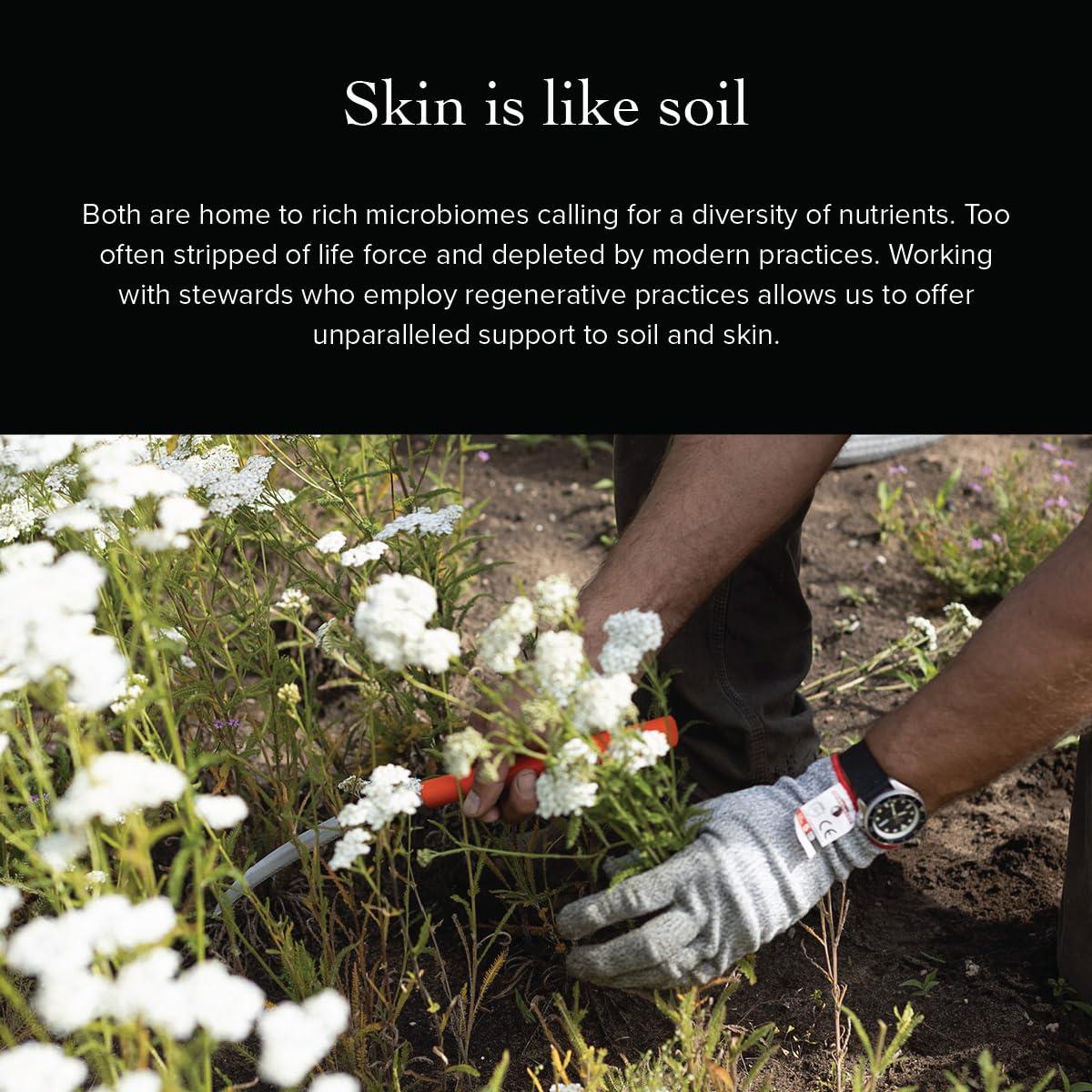 Aceite Limpiador Facial Orgánico Evanhealy 59g - Piel Sensible