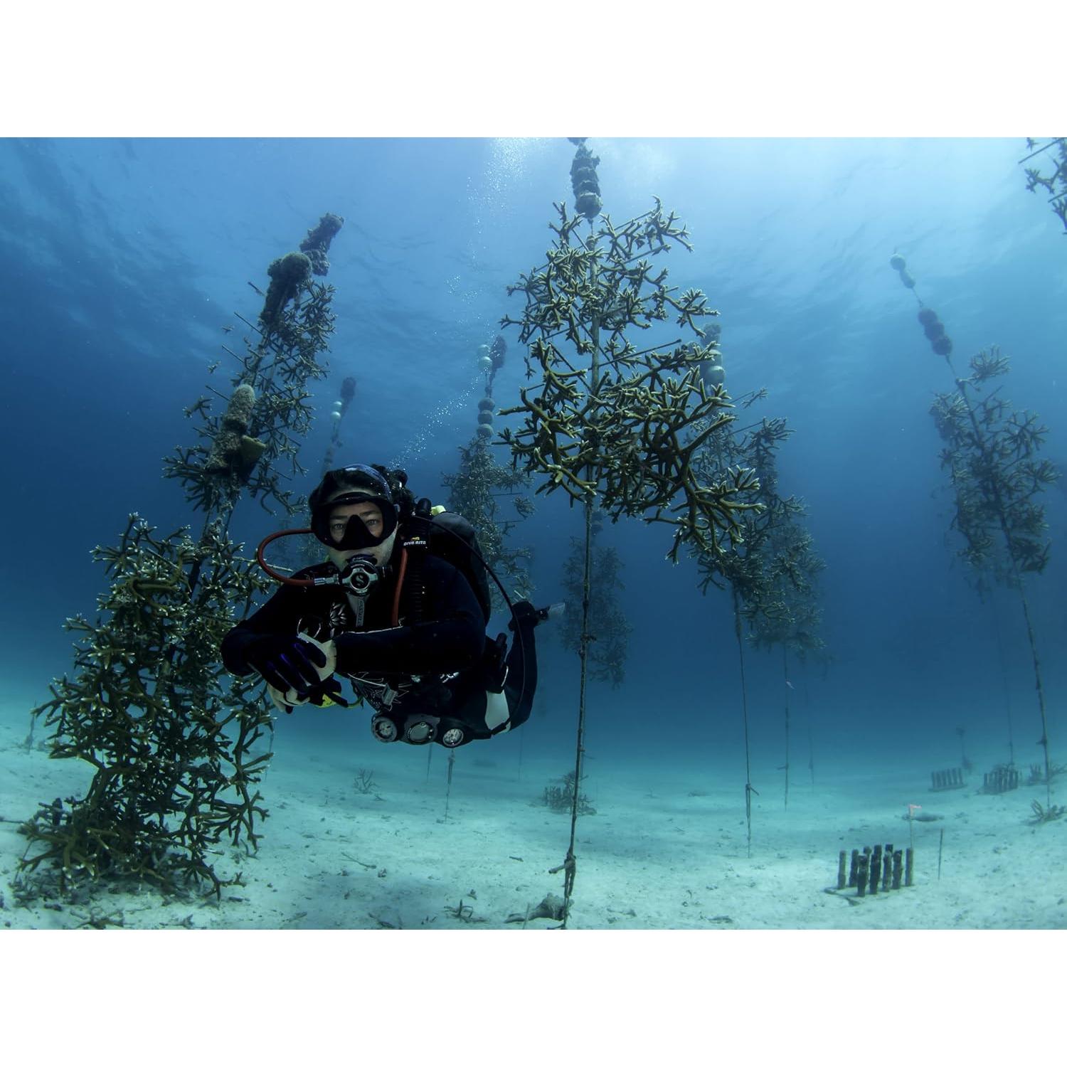 STREAM2SEA EcoStick SPF 35 Mineral Sunscreen Stick, Sweat Water Resistant Sunblock, USDA Approved Biodegradable Paraben Free Reef Safe Sunscreen Protection Against UVA UVB (EcoStick Kids) - 0.5 oz