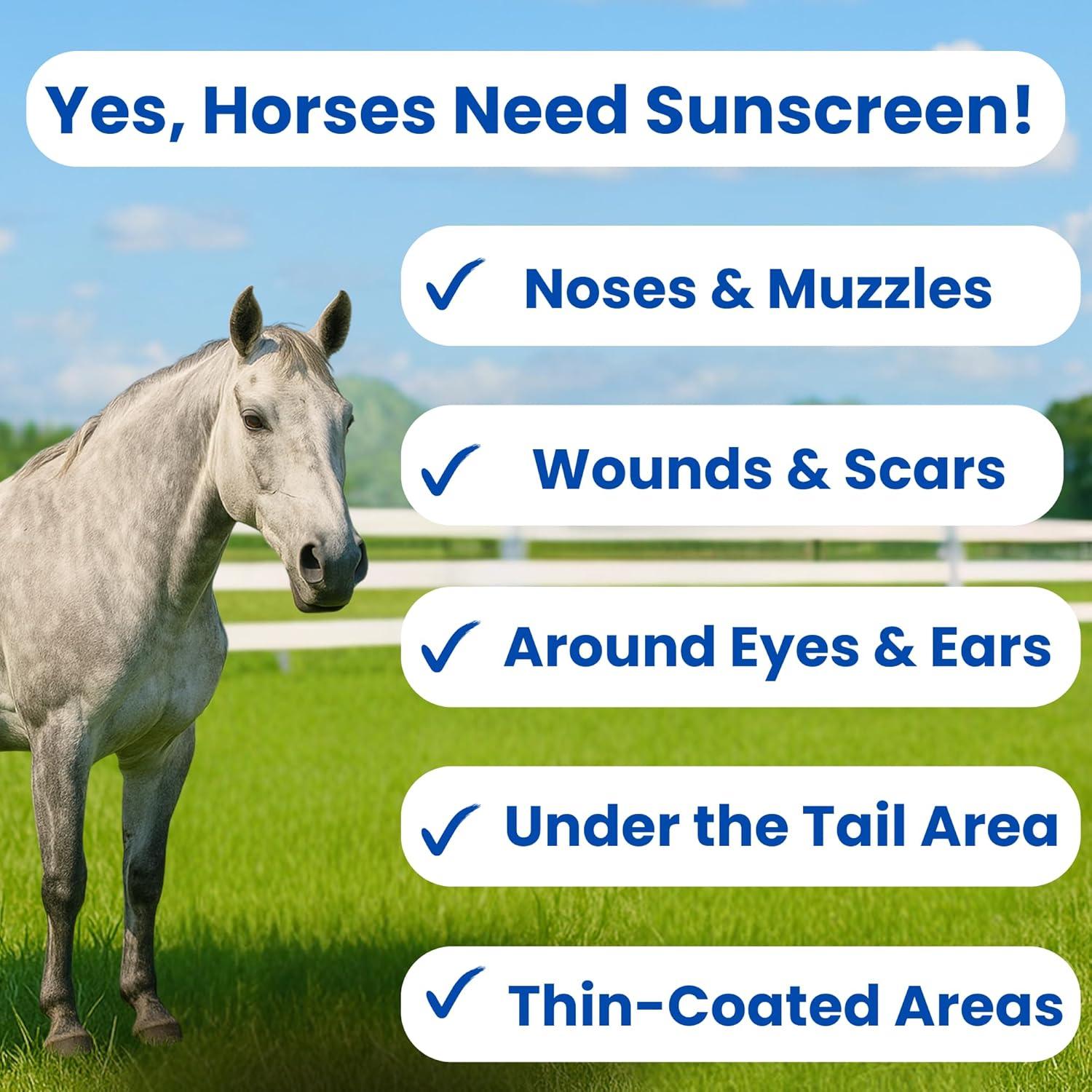 Protector Solar Orgánico Sit Stay Forever para Caballos 113.4 g