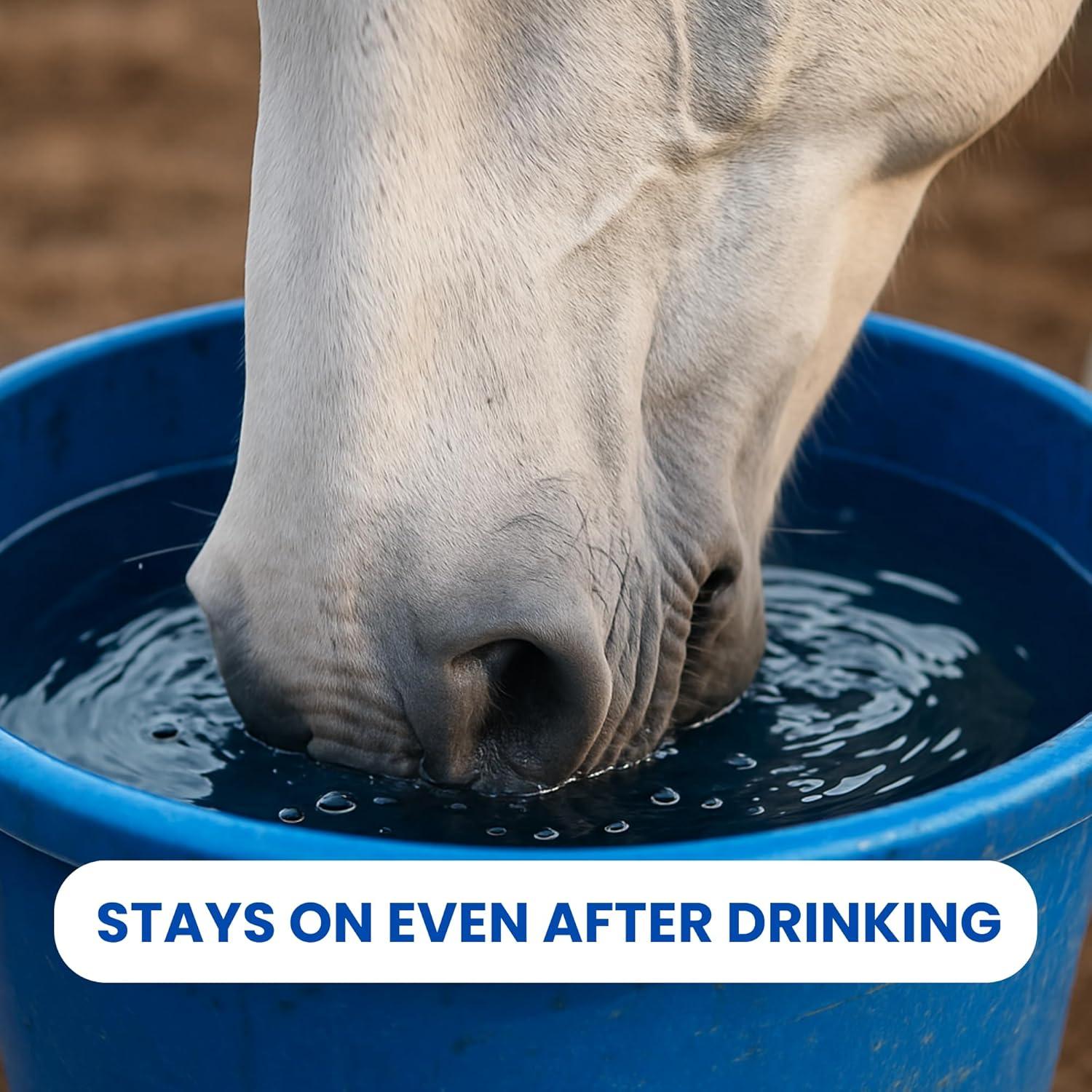 Protector Solar Orgánico Sit Stay Forever para Caballos 113.4 g